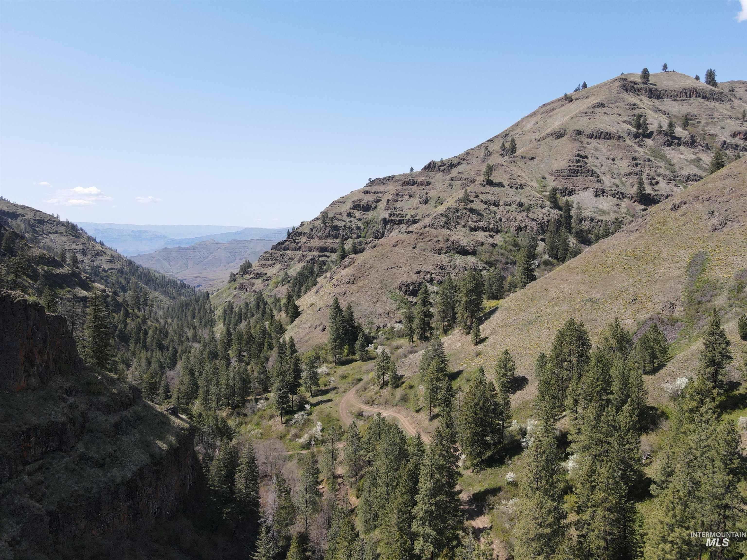 478 Deer Gulch Rd Property Photo 20