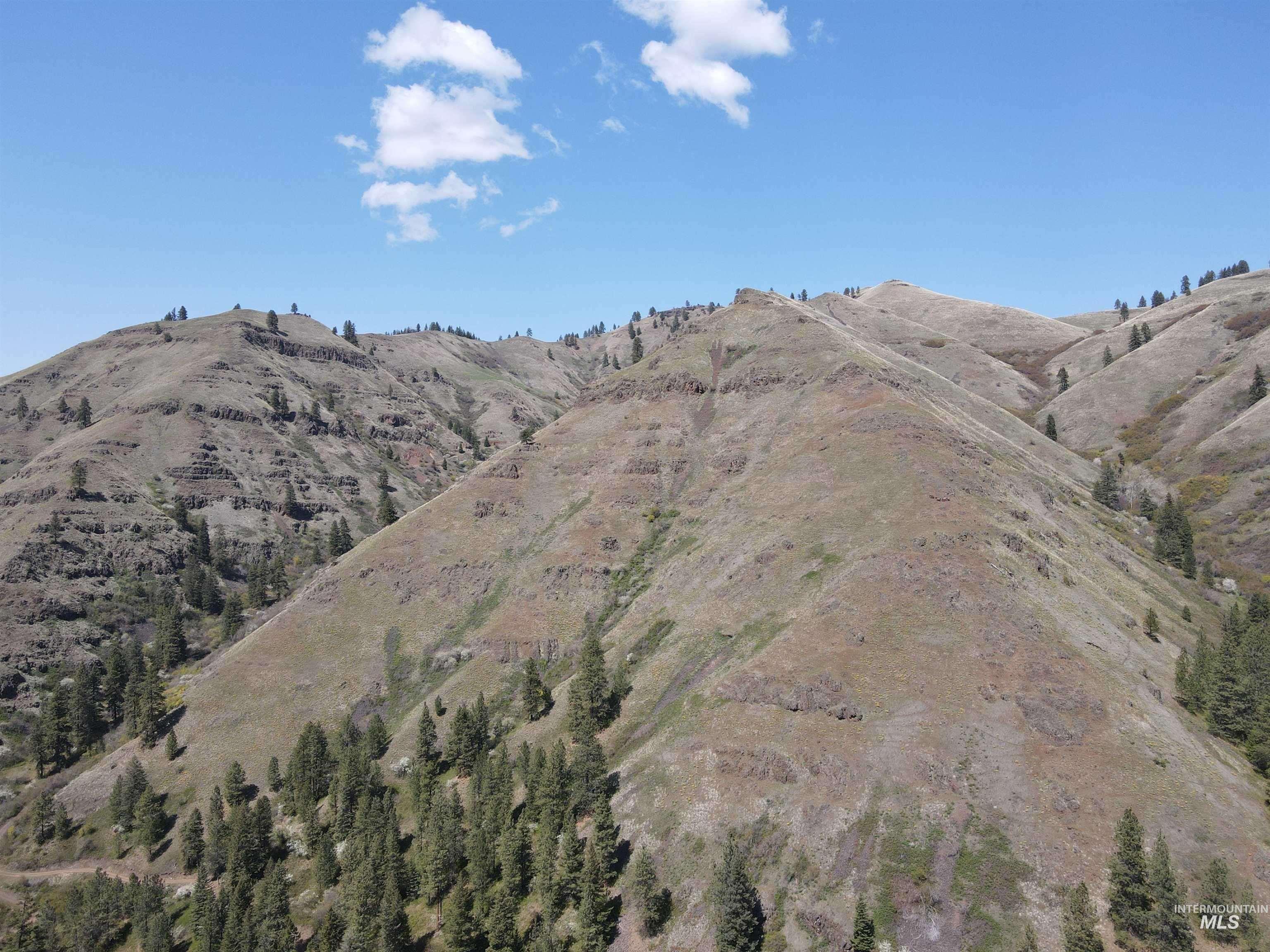 478 Deer Gulch Rd Property Photo 24