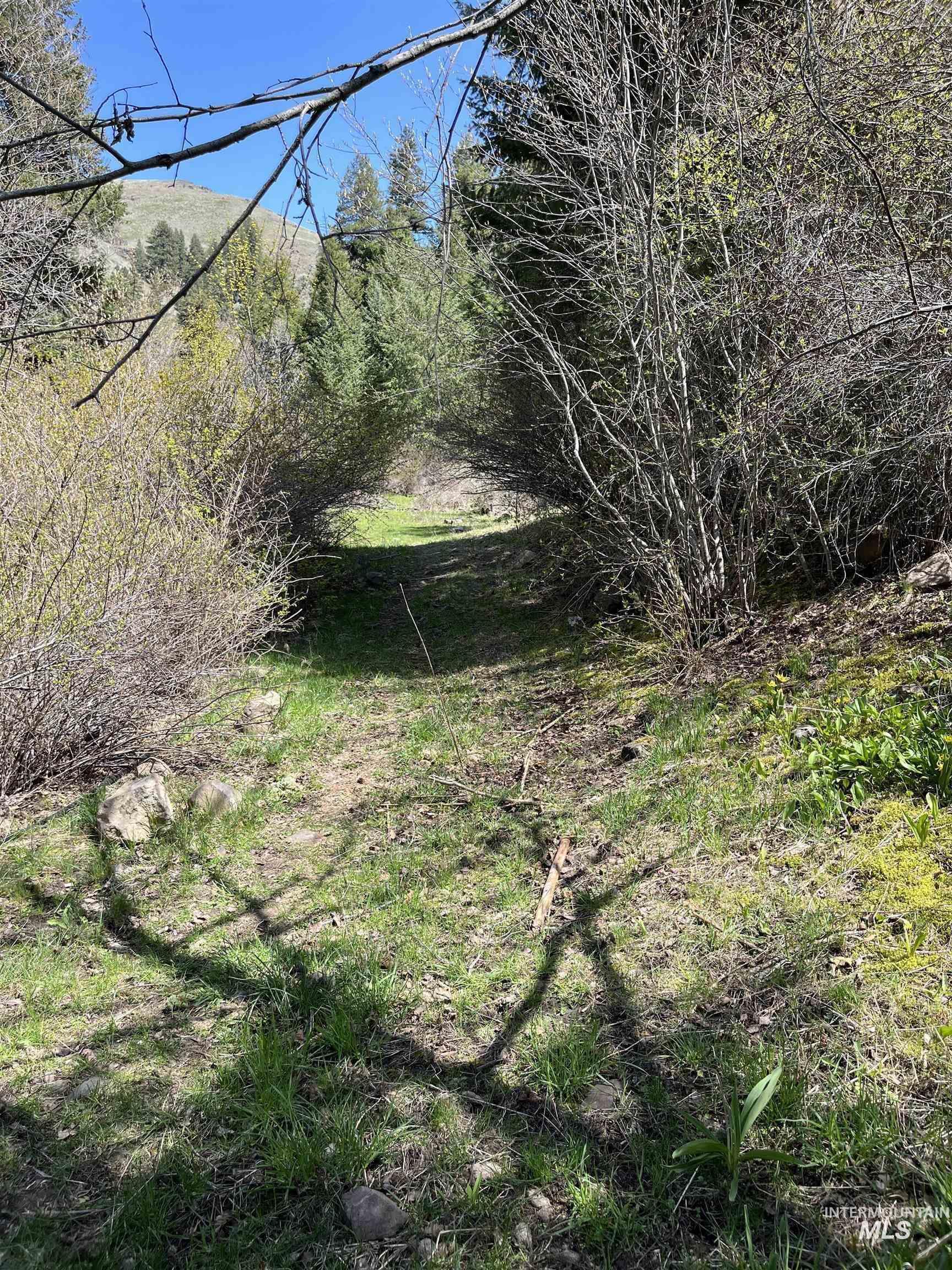 478 Deer Gulch Rd Property Photo 28