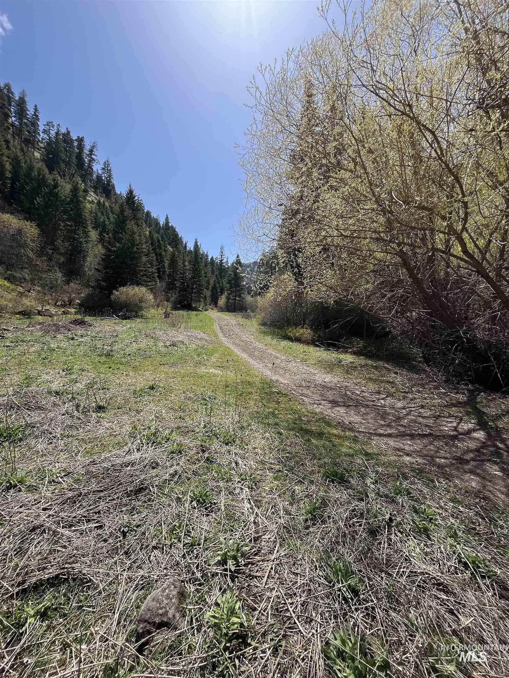 478 Deer Gulch Rd Property Photo 31