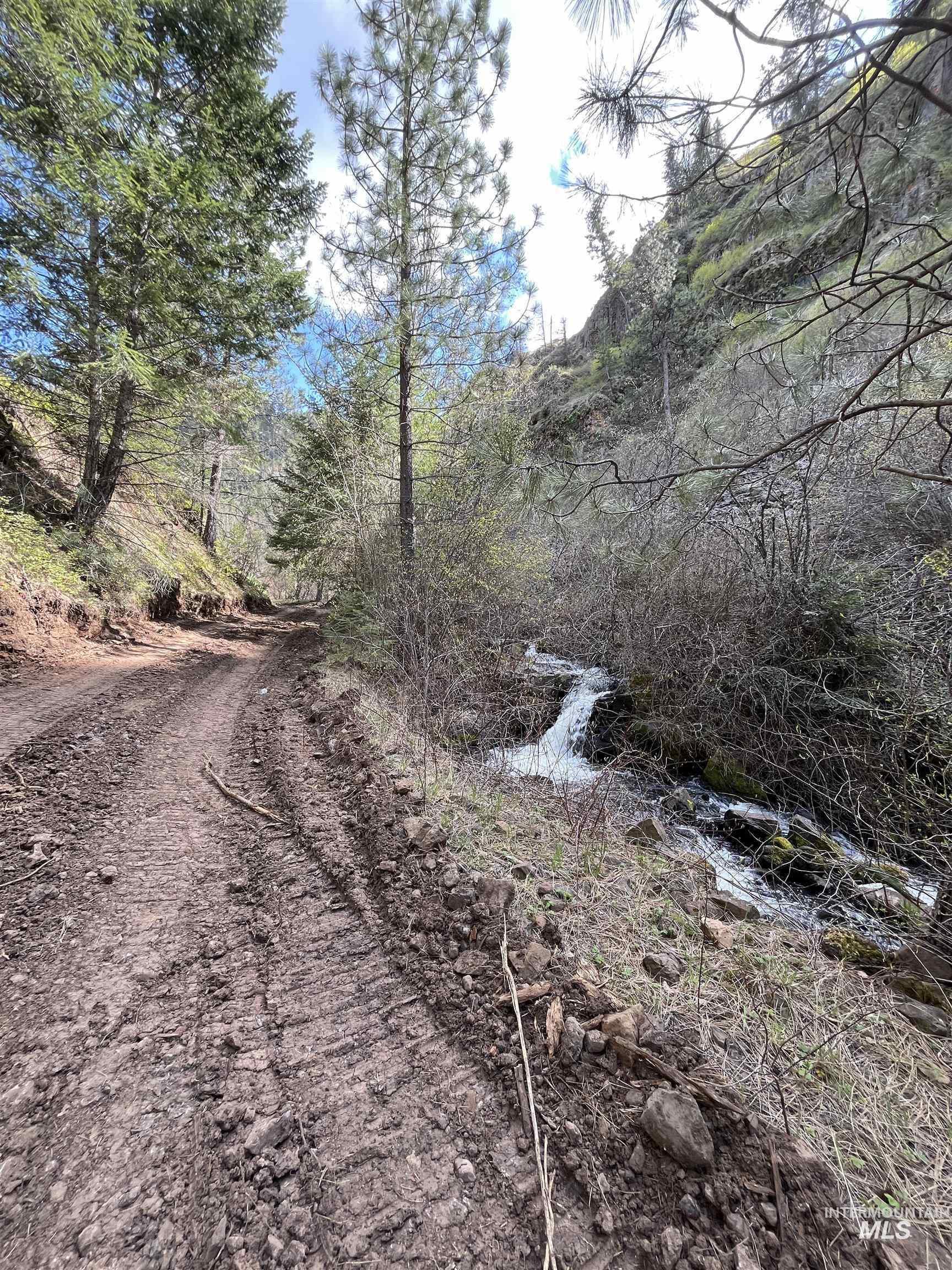 478 Deer Gulch Rd Property Photo 45