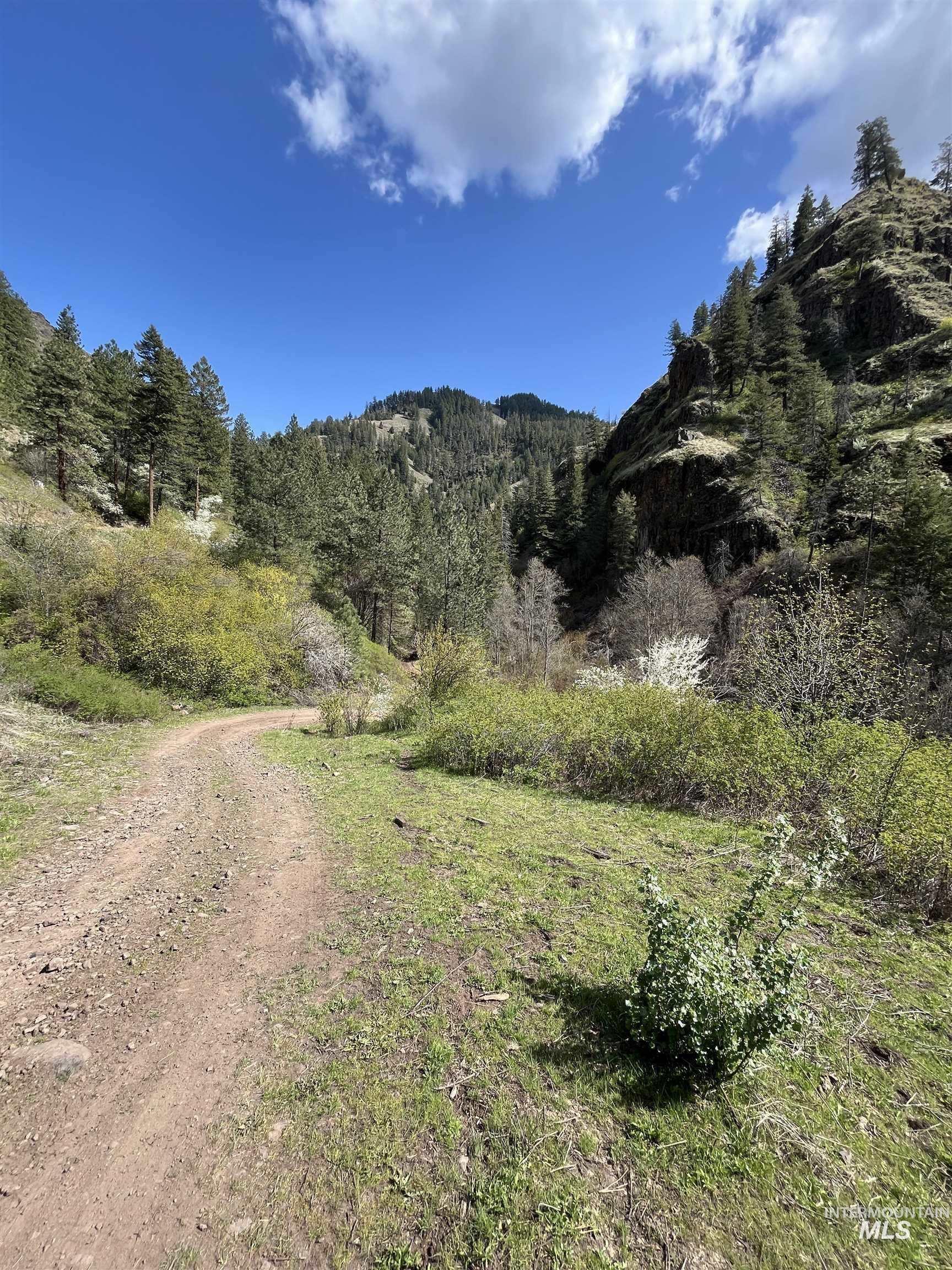 478 Deer Gulch Rd Property Photo 46