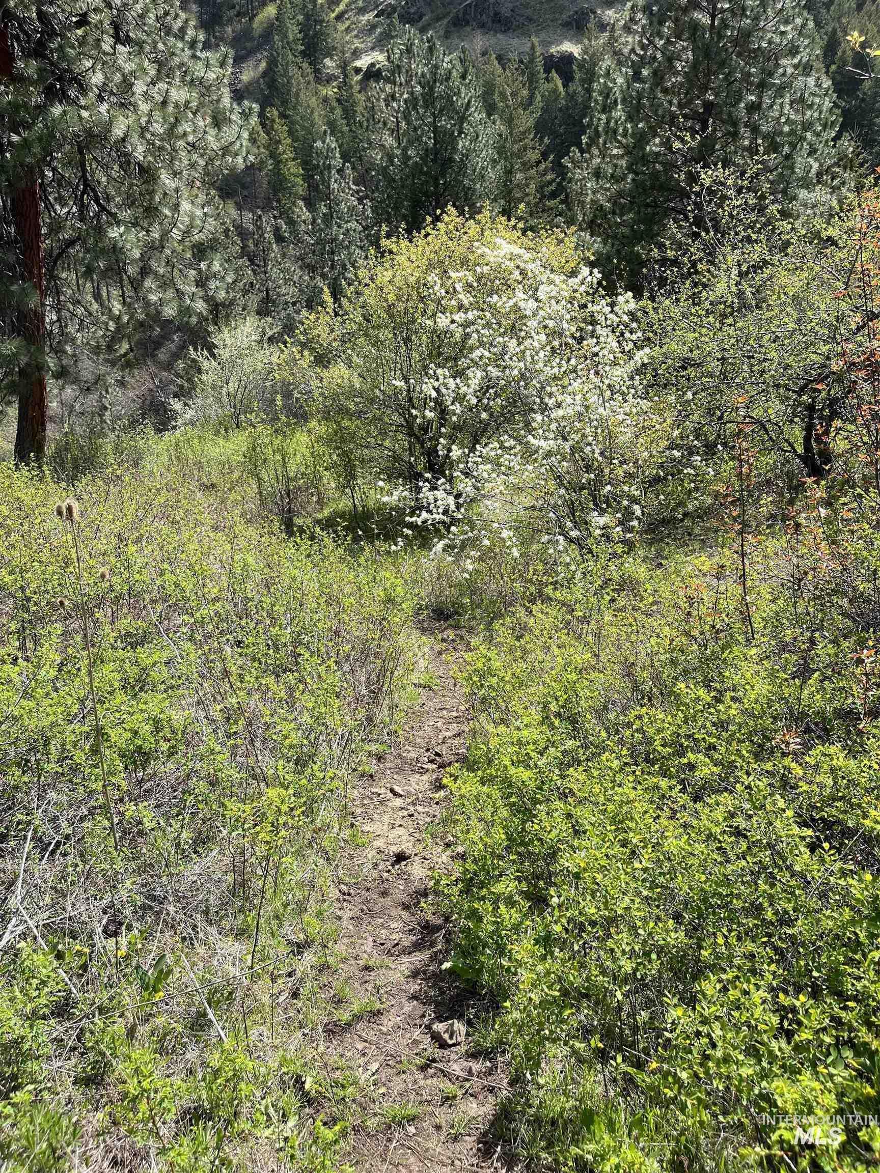 478 Deer Gulch Rd Property Photo 47