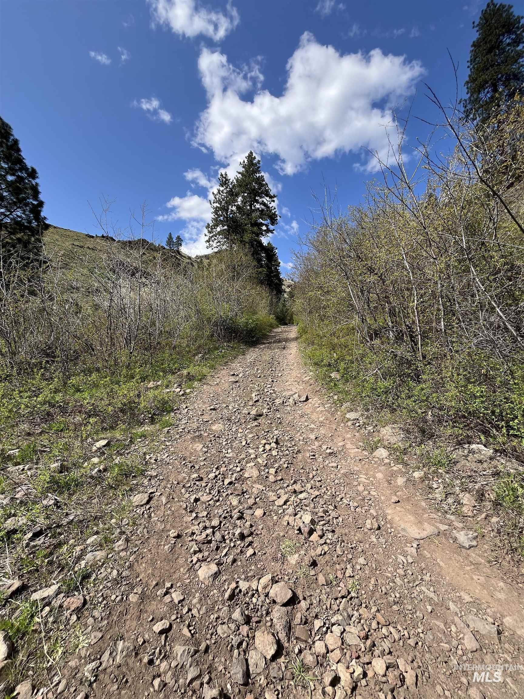 478 Deer Gulch Rd Property Photo 48