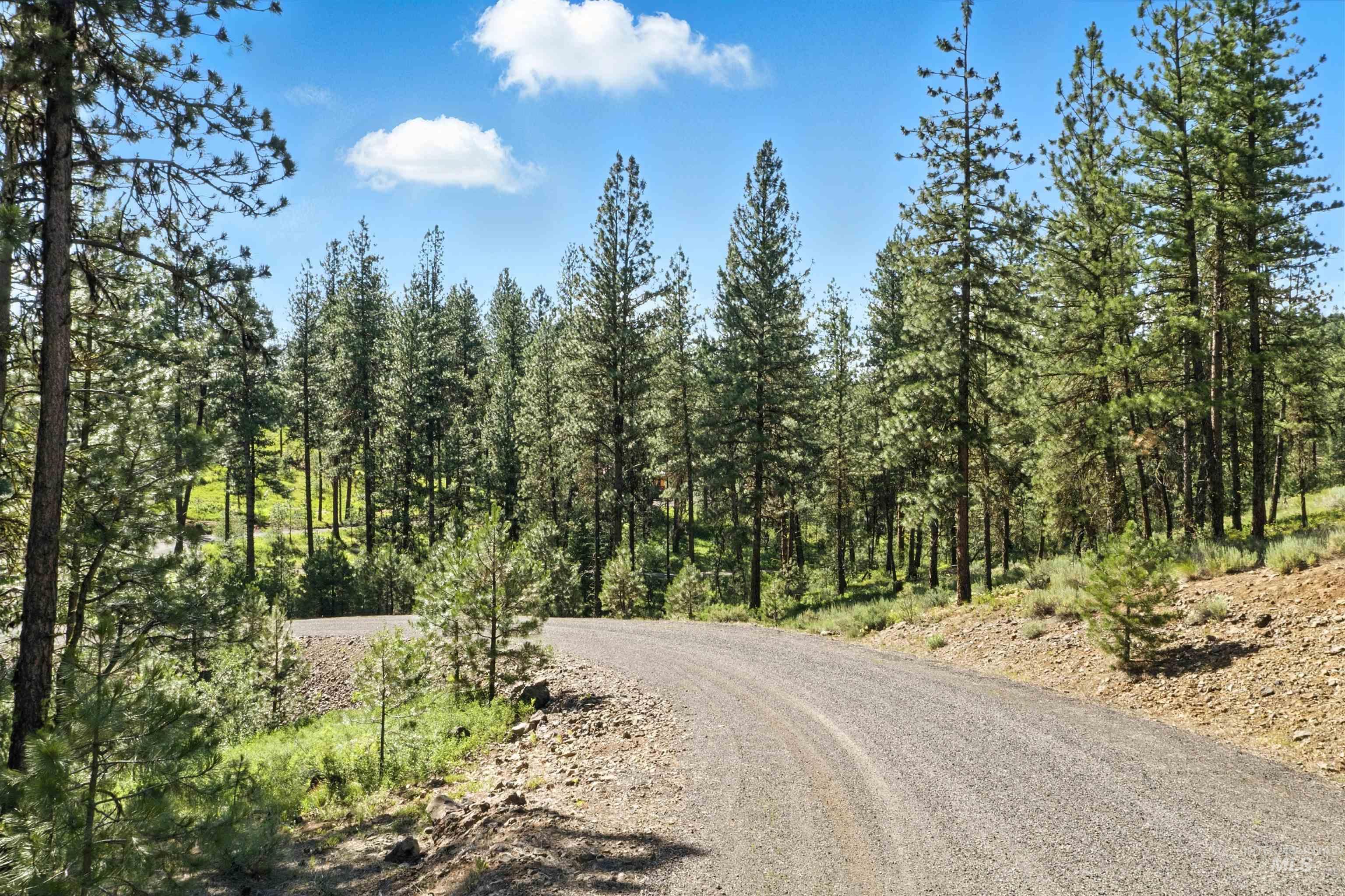 Lot 7 Blk1 Van Dorn Estates Property Photo 3
