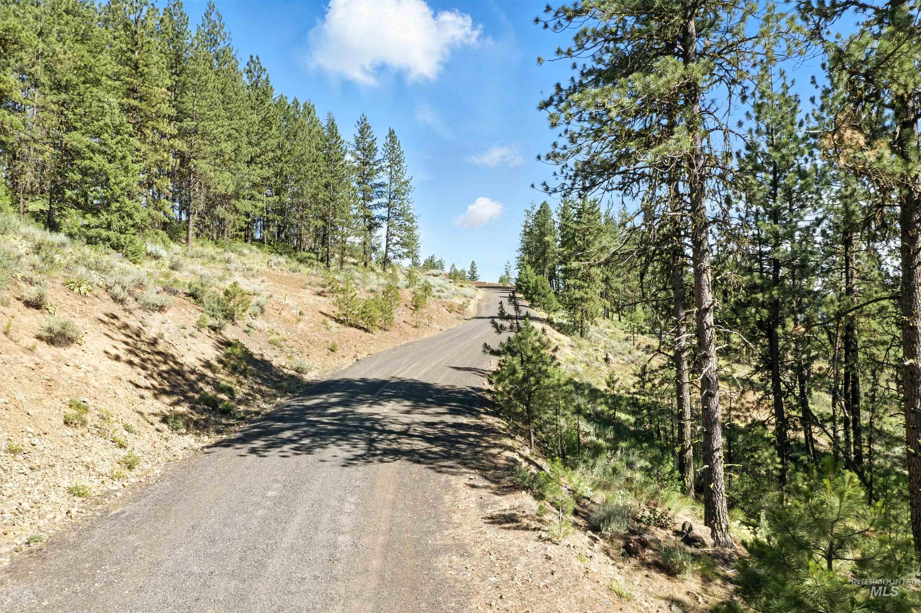 Lot 7 Blk1 Van Dorn Estates Property Photo 4