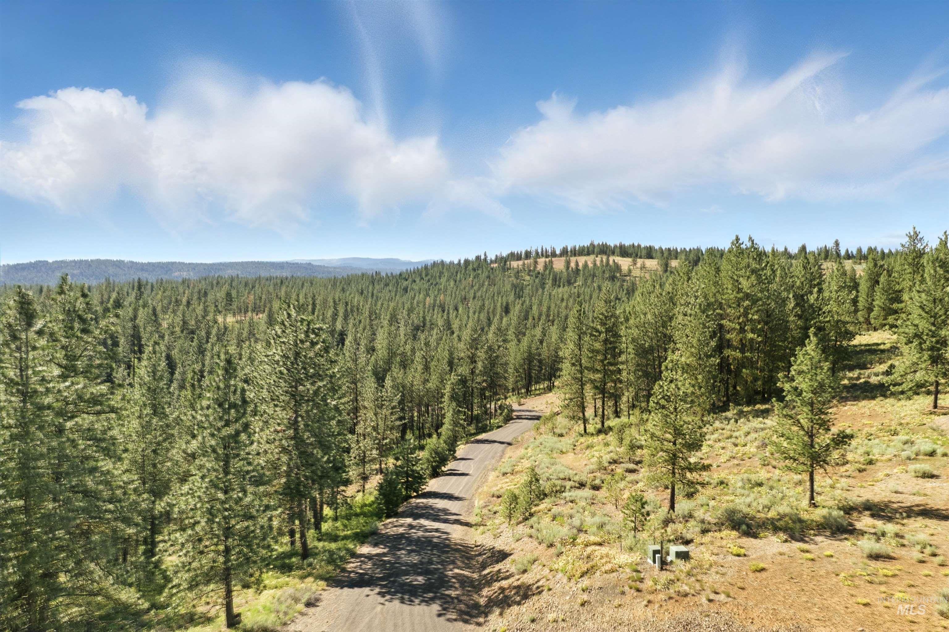 Lot 7 Blk1 Van Dorn Estates Property Photo 6