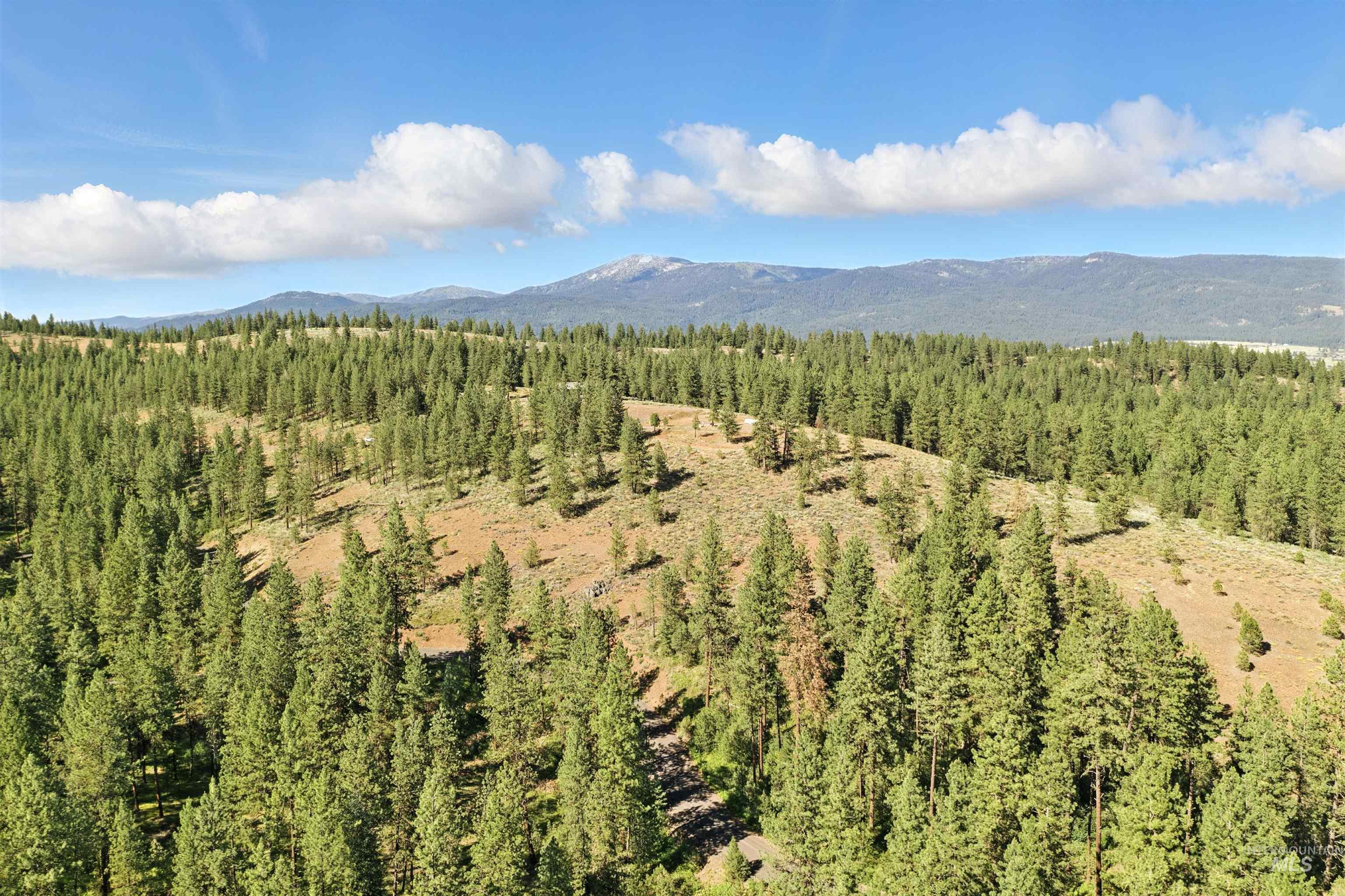Lot 7 Blk1 Van Dorn Estates Property Photo 15