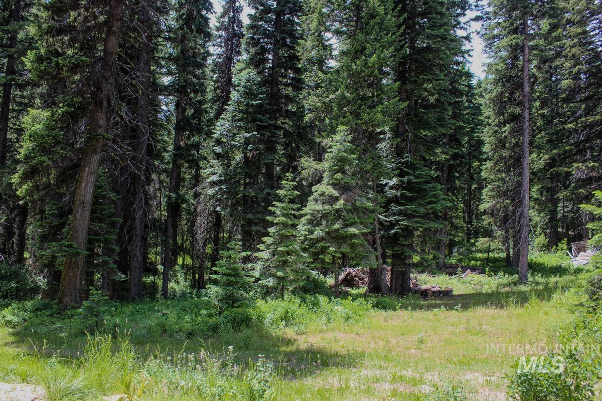 1801 Canary Trail Property Photo 6