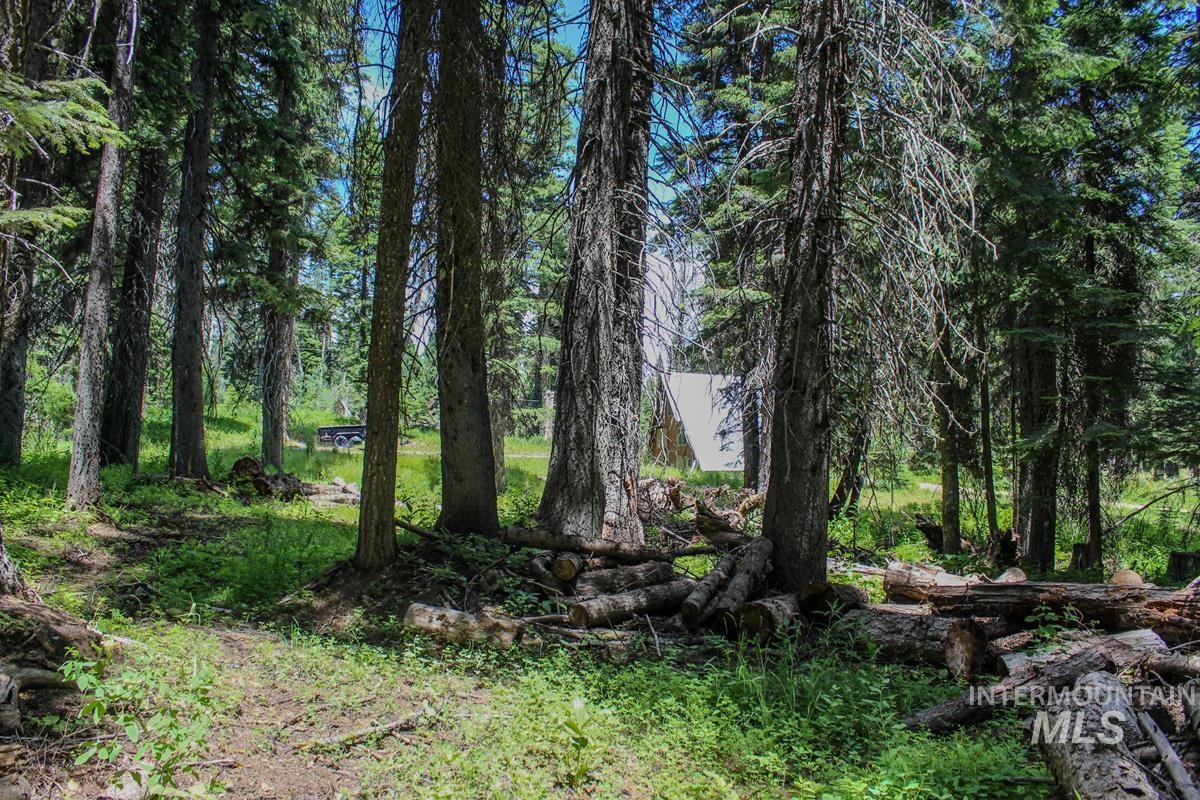 1801 Canary Trail Property Photo 10