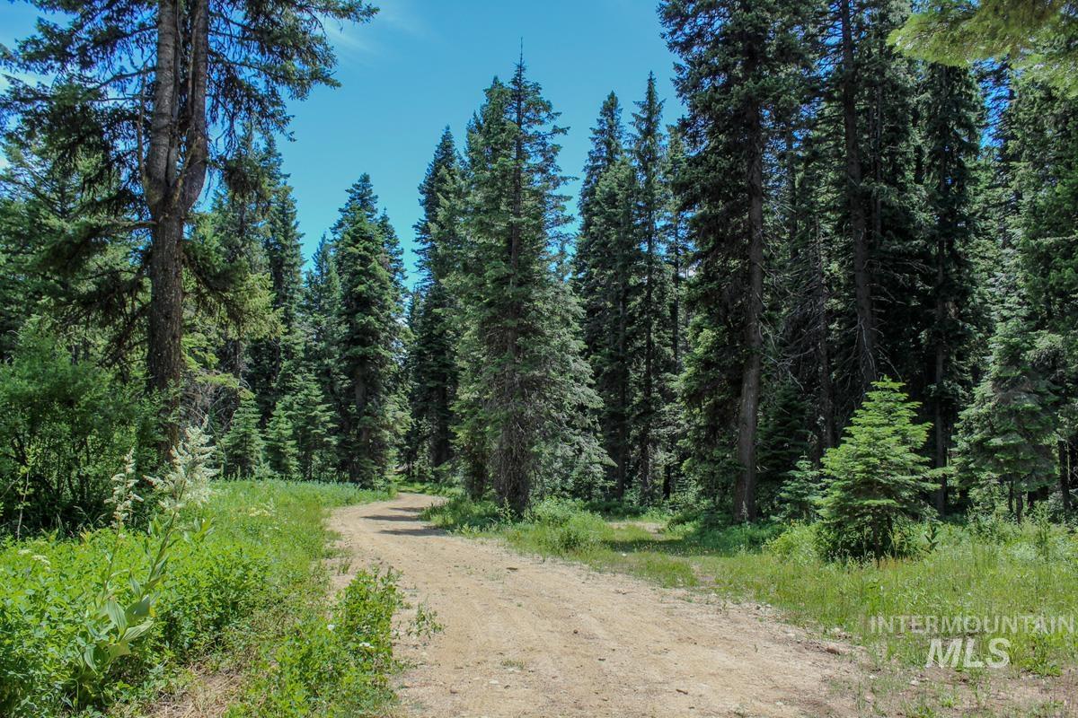 1801 Canary Trail Property Photo 12