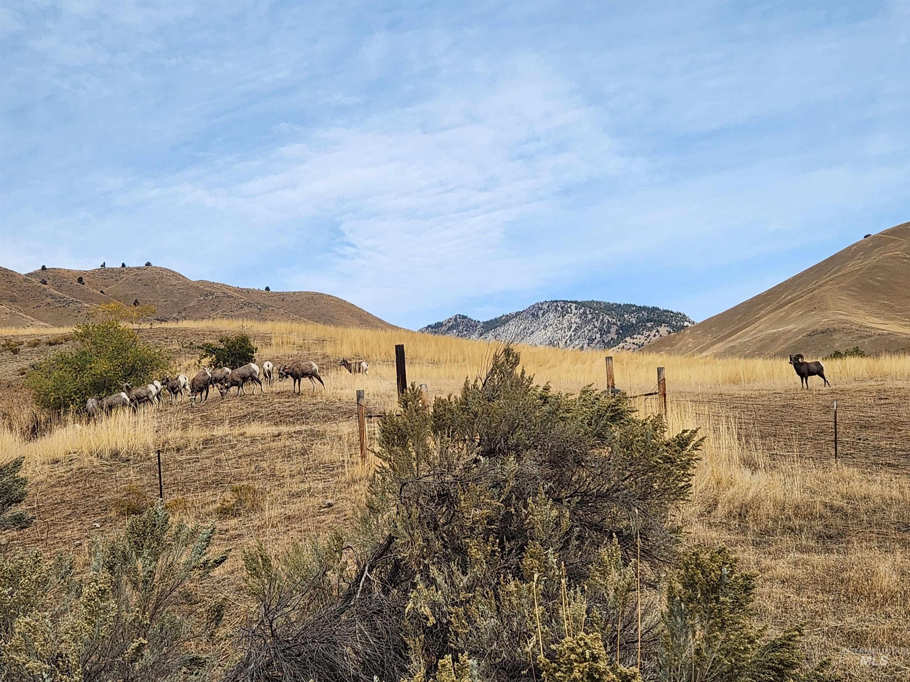 34559 Snake River Road Property Photo 8