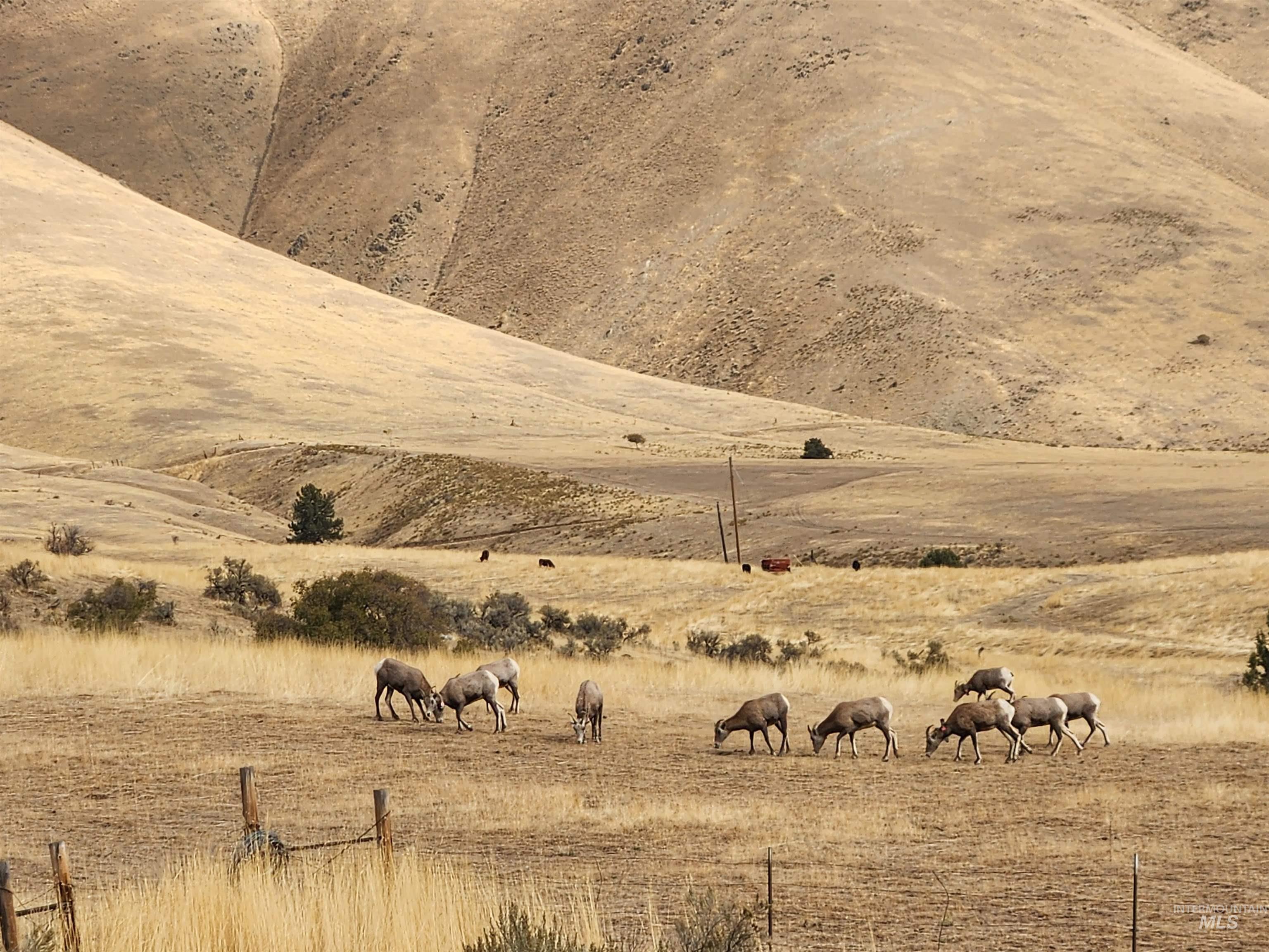 34559 Snake River Road Property Photo 27
