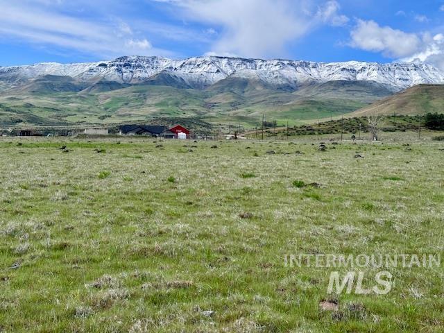 9915 Brownlee Liberty Rd Property Photo 5