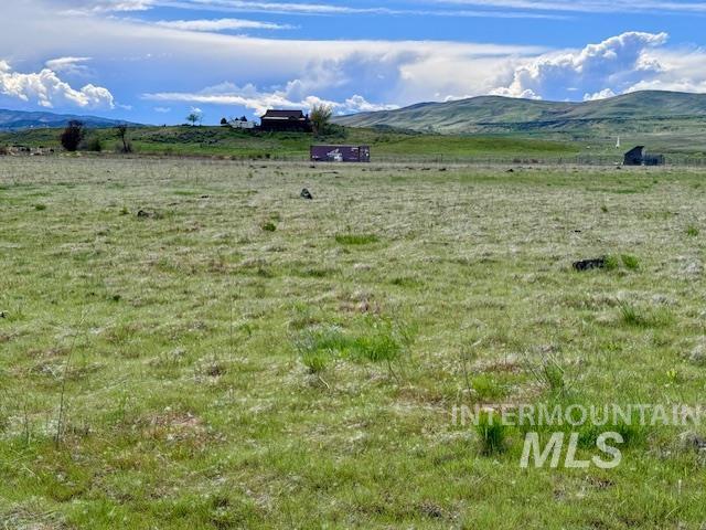 9915 Brownlee Liberty Rd Property Photo 8