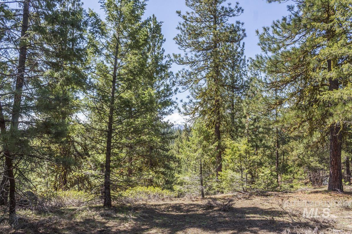 161 Little Donner Drive Property Photo 4