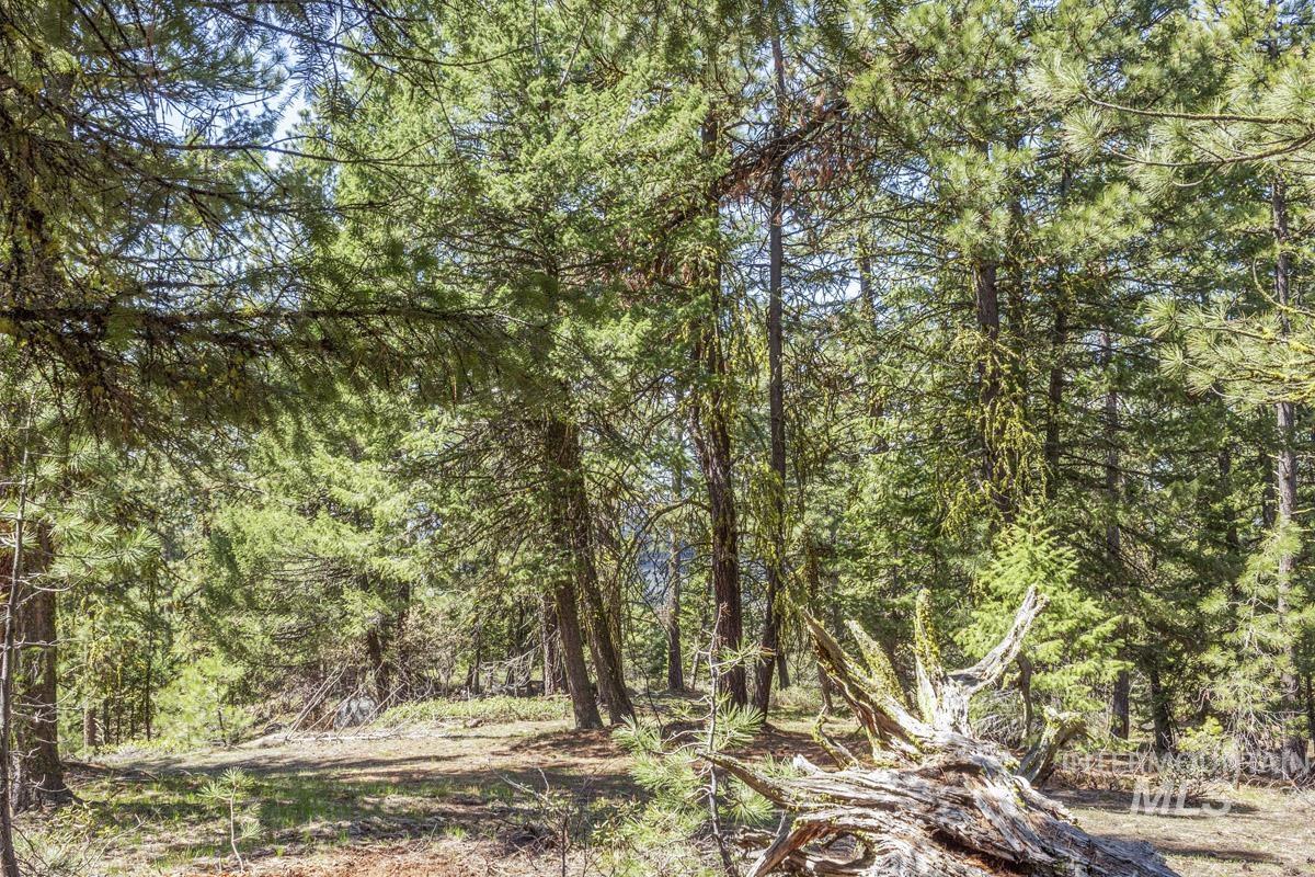 161 Little Donner Drive Property Photo 8