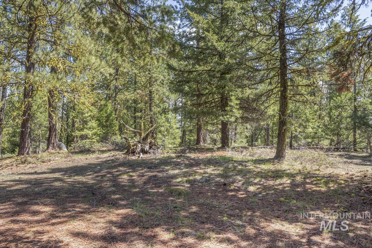 161 Little Donner Drive Property Photo 13