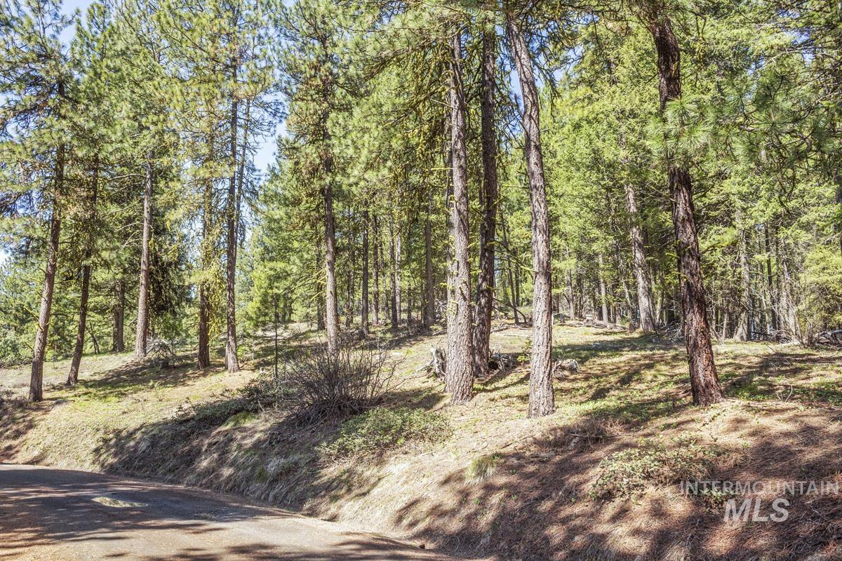 161 Little Donner Drive Property Photo 14