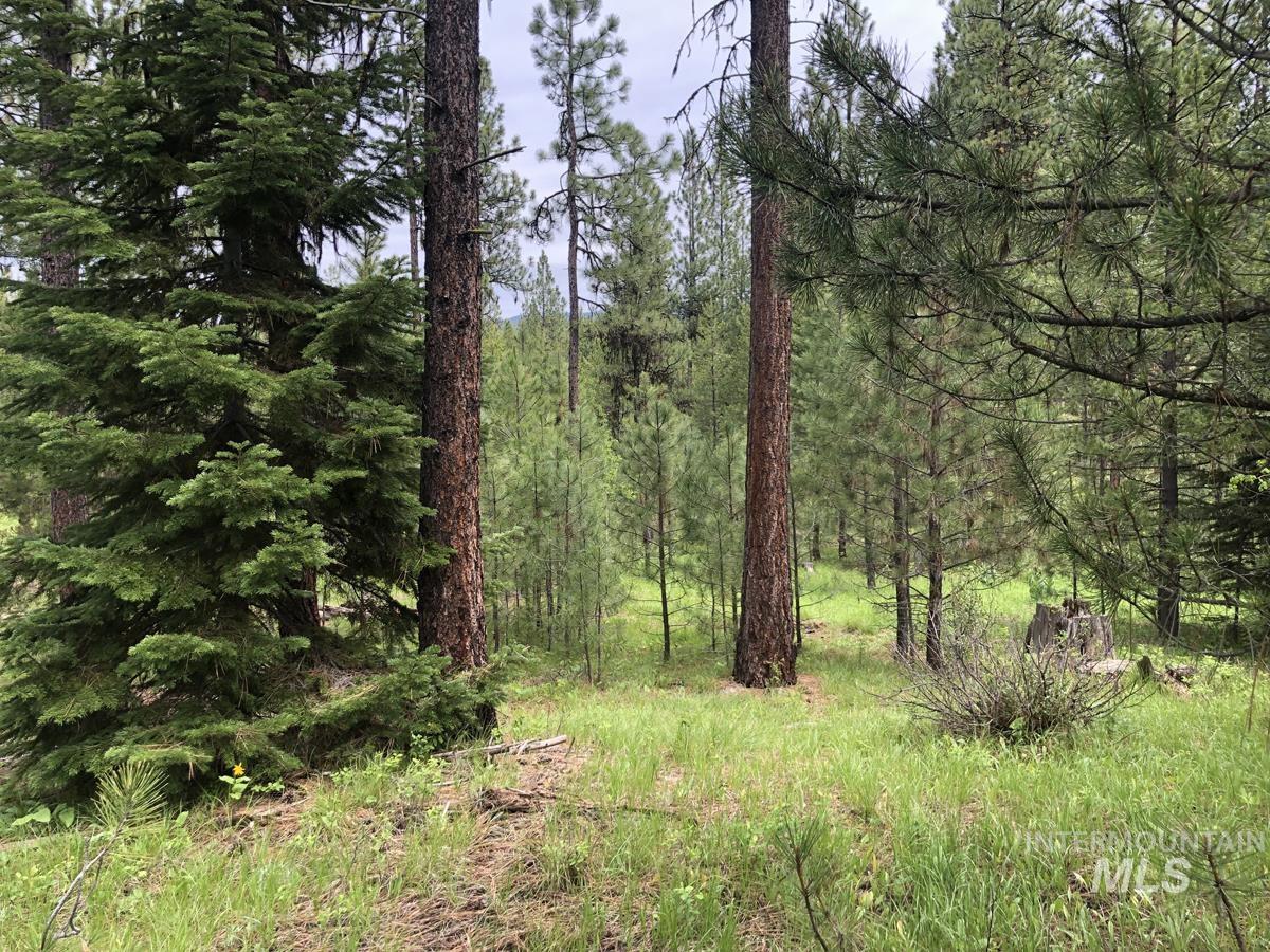 L18 Silver Cloud Drive Property Photo 1