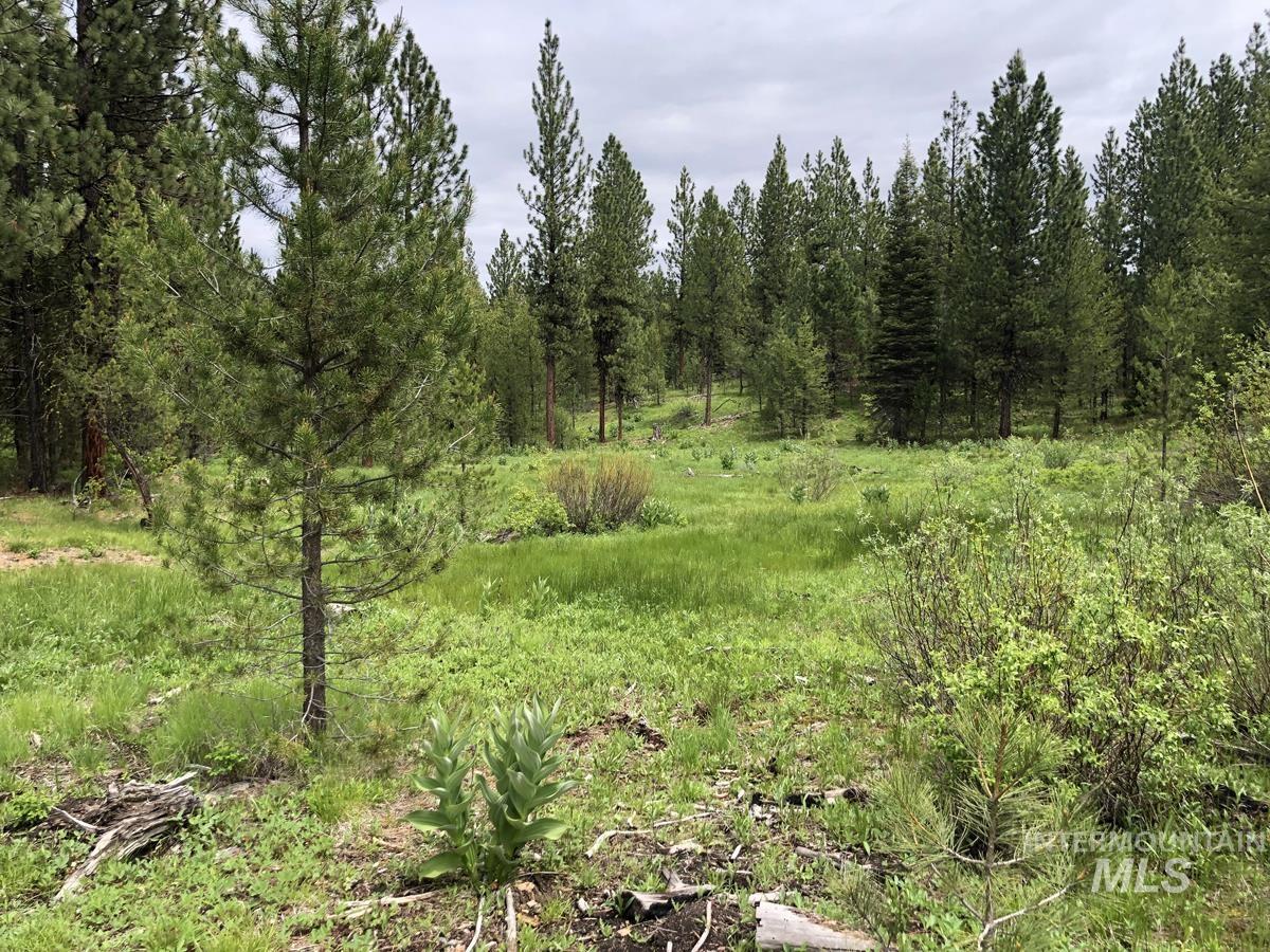 L18 Silver Cloud Drive Property Photo 2