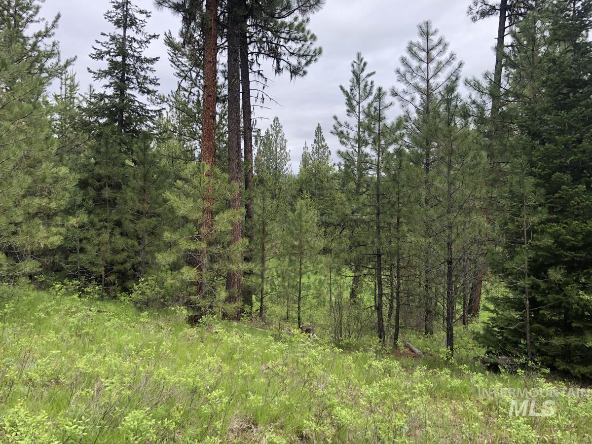 L18 Silver Cloud Drive Property Photo 3