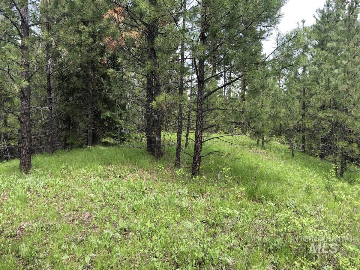 L18 Silver Cloud Drive Property Photo 4