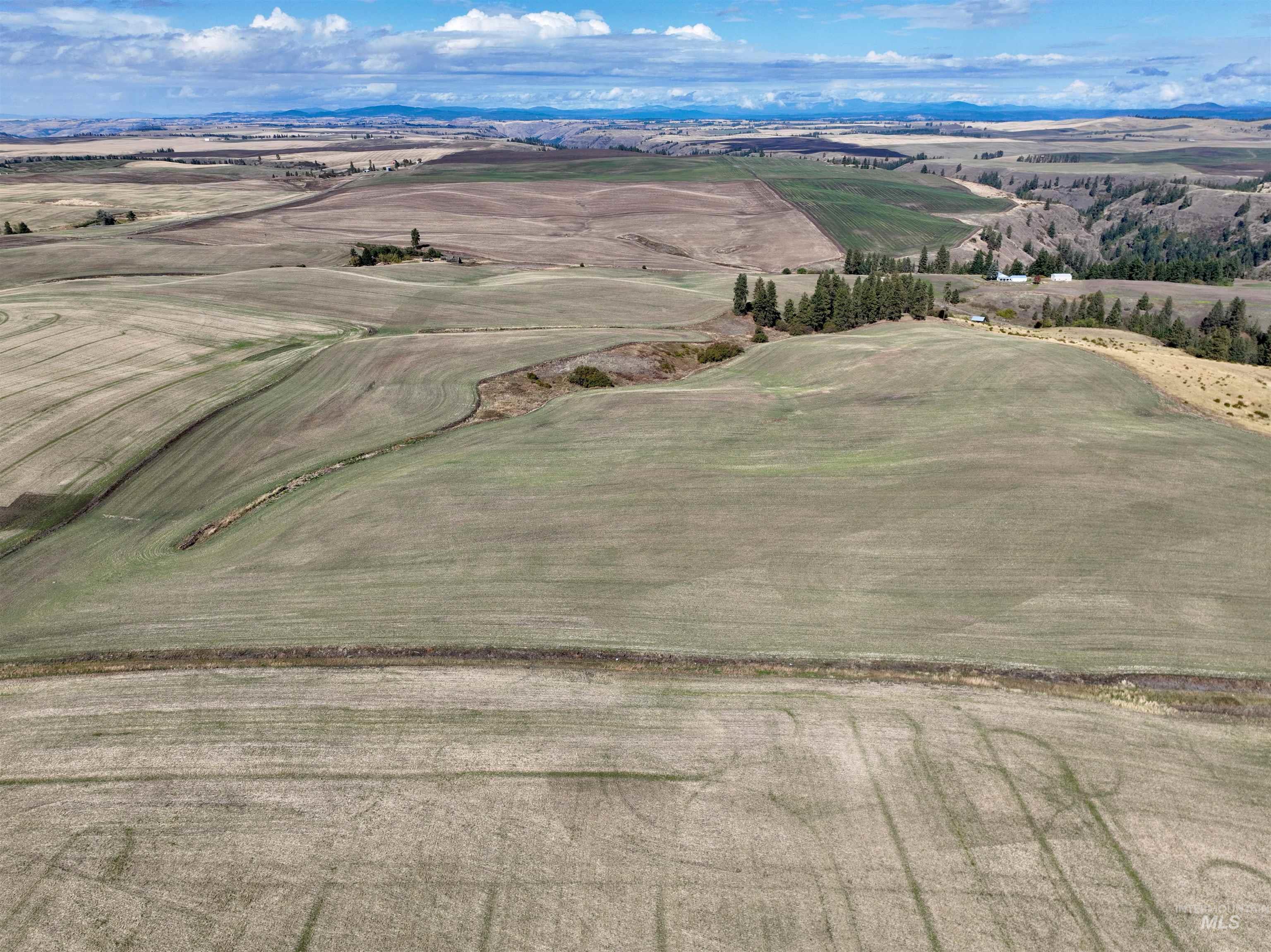 Tbd Central Ridge Rd Property Photo 36