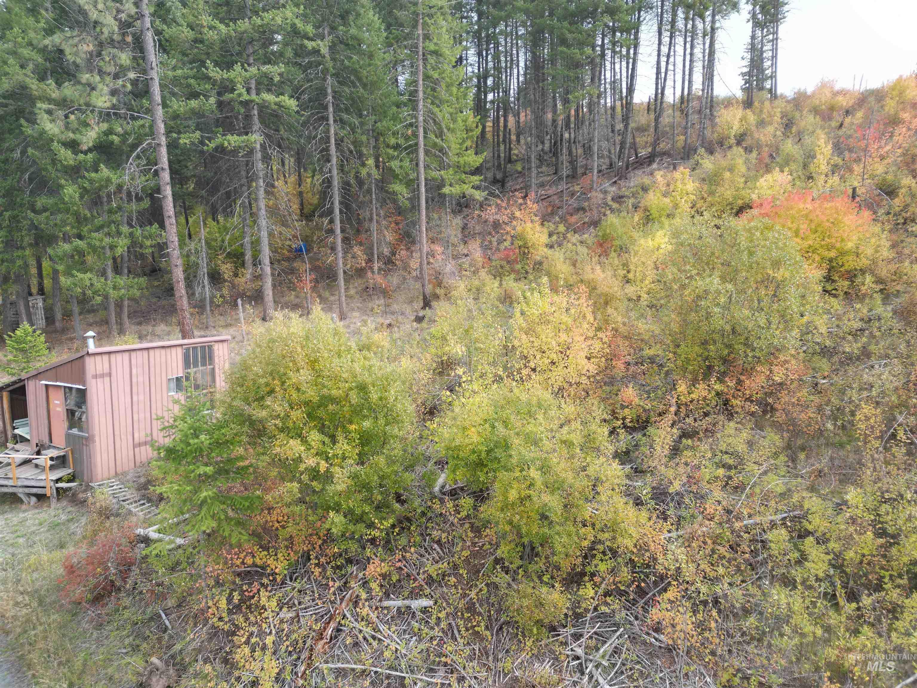 905 Hidden Valley Lane Property Photo 6