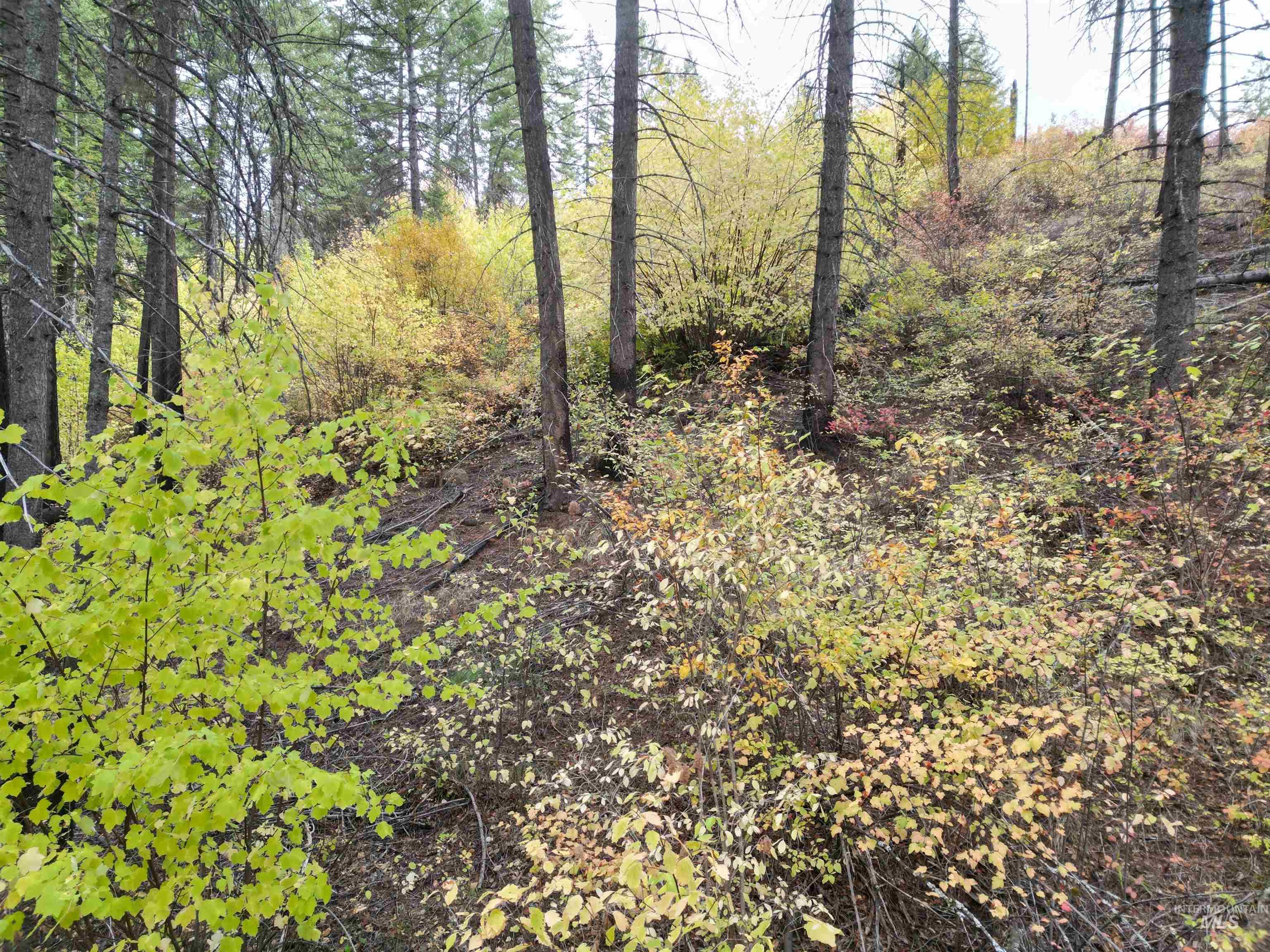 905 Hidden Valley Lane Property Photo 23