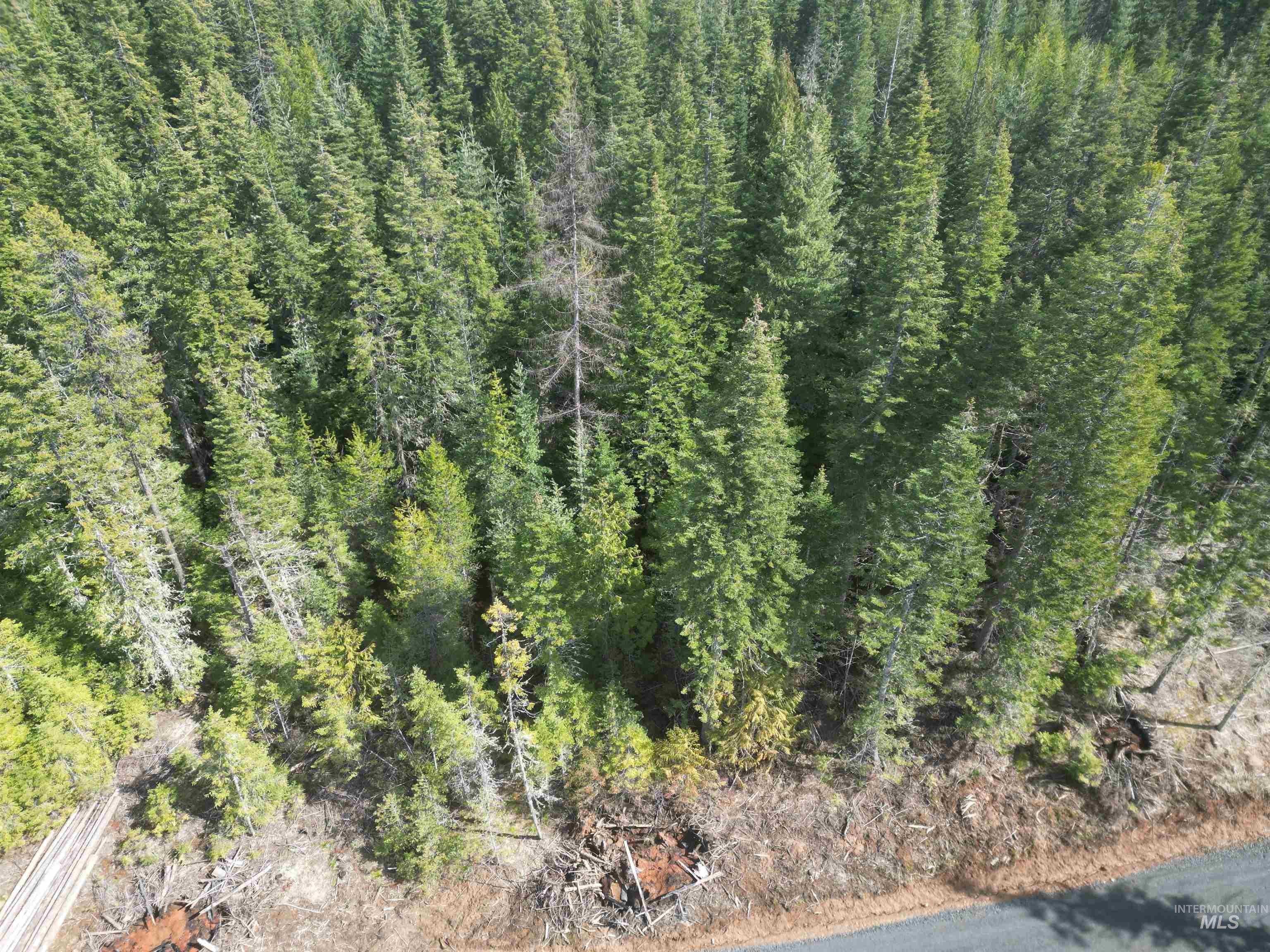 Tbd Lot 11 Spring Lane Property Photo 21