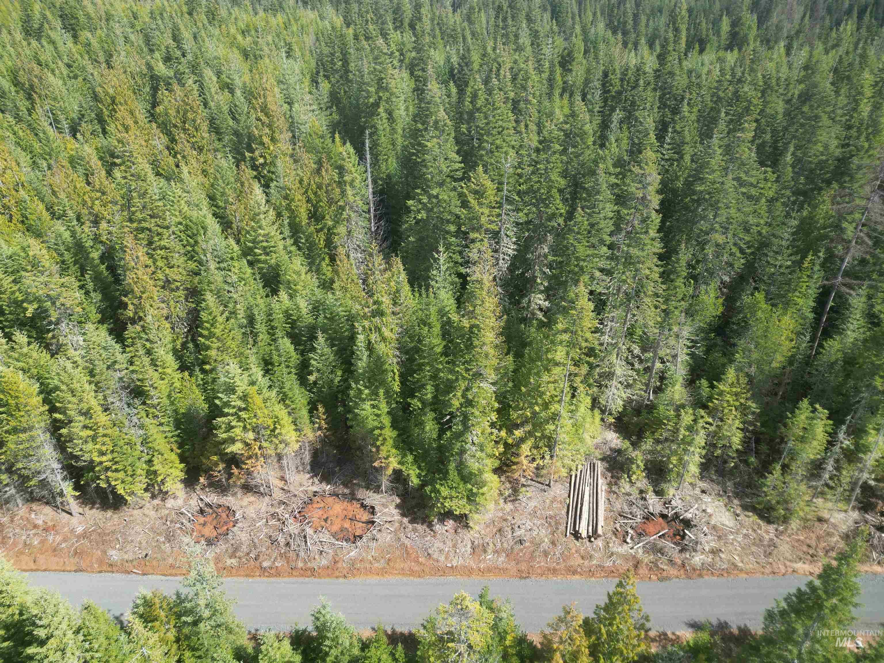 Tbd Lot 11 Spring Lane Property Photo 22