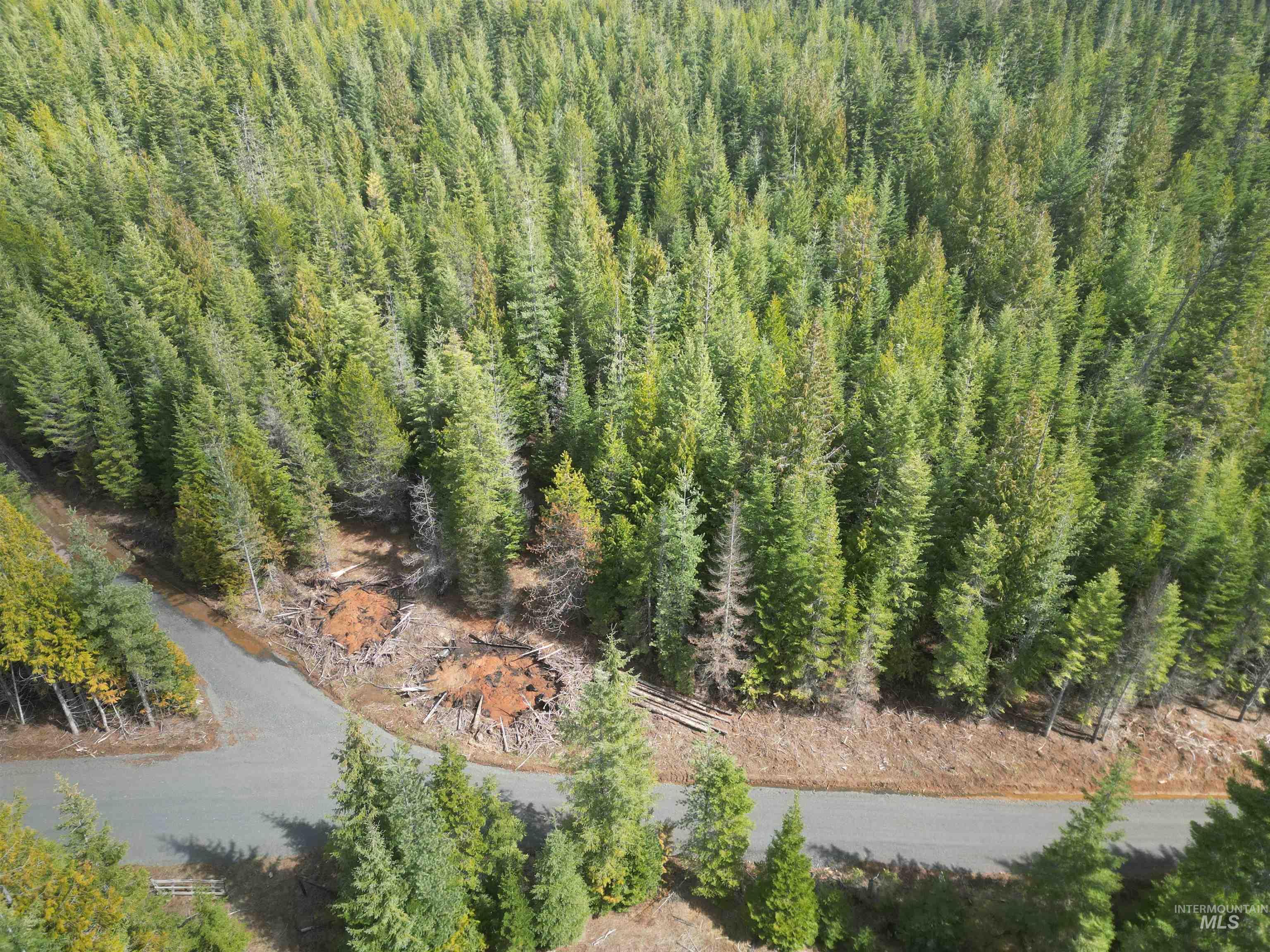 Tbd Lot 11 Spring Lane Property Photo 23