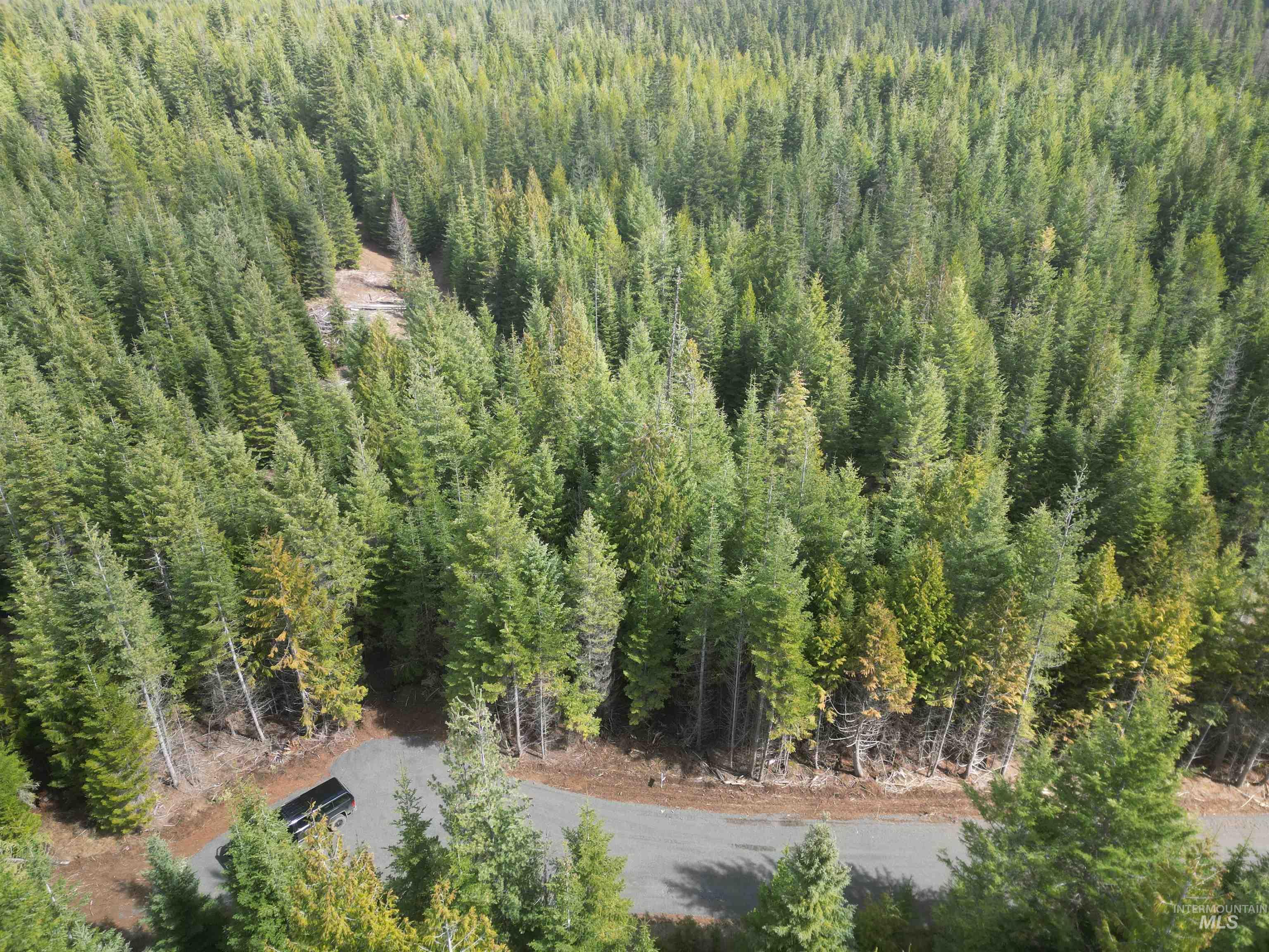 Tbd Lot 11 Spring Lane Property Photo 24