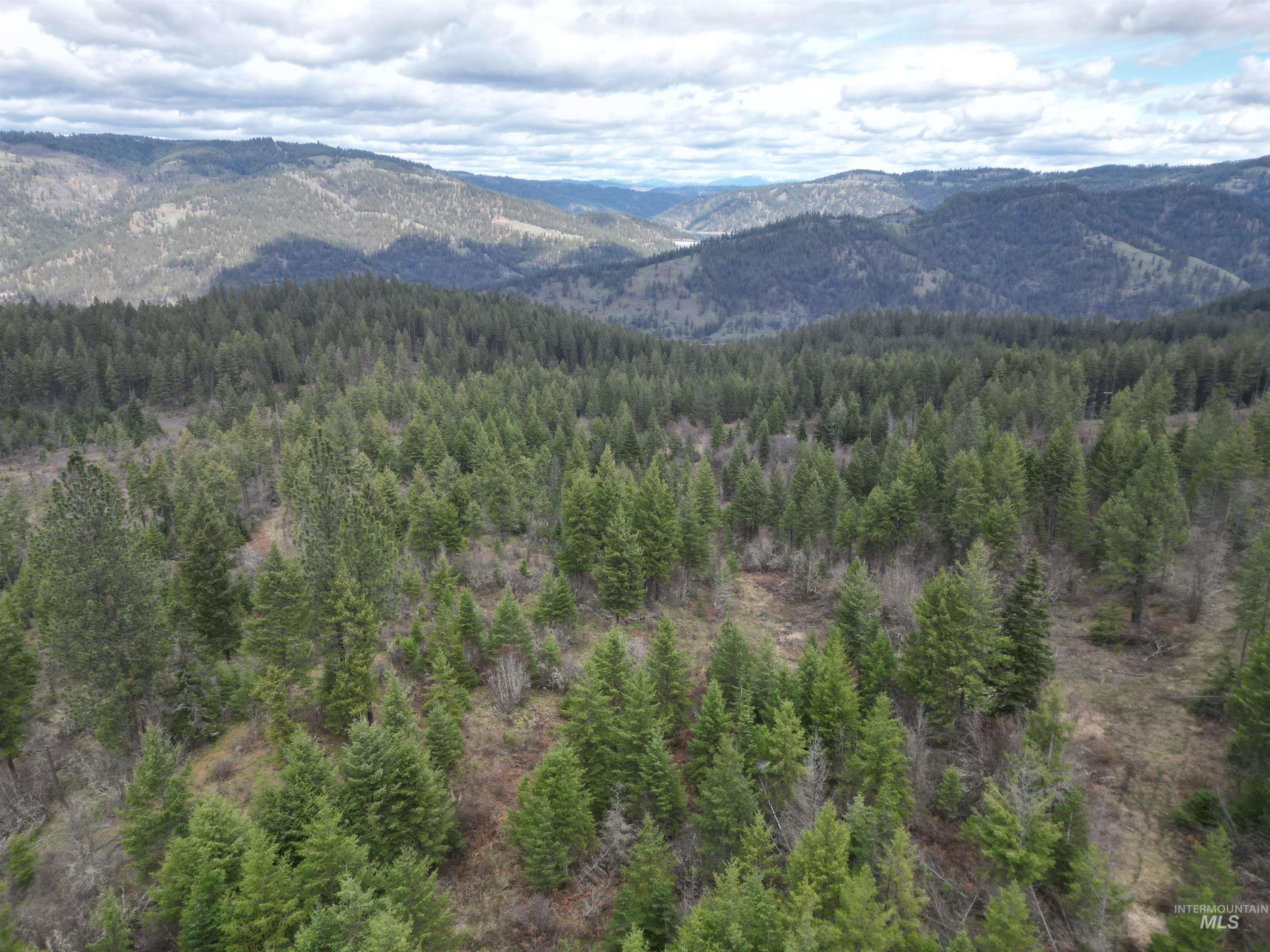 Tbd O'brien Property Photo 1