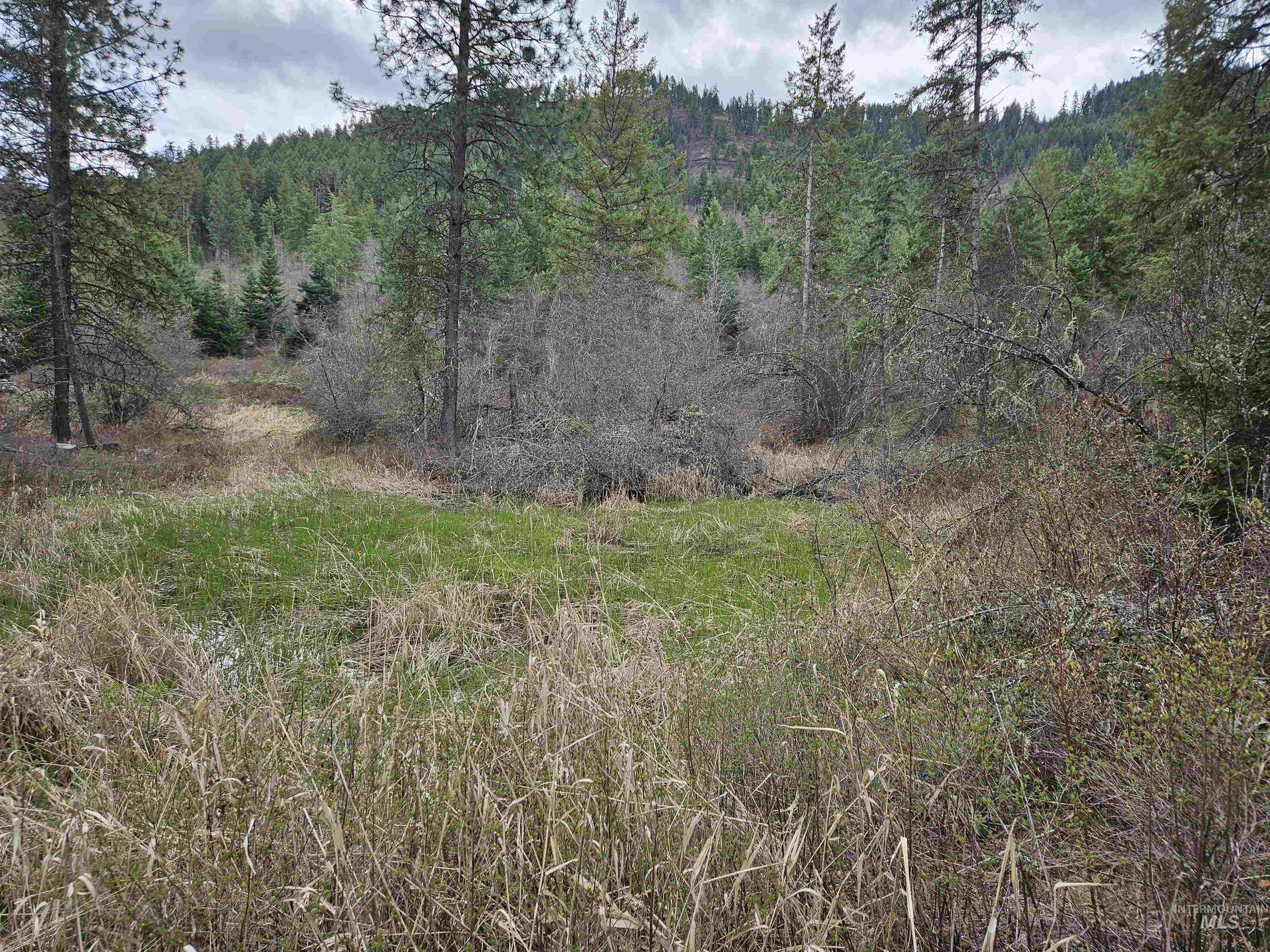 Tbd O'brien Property Photo 3