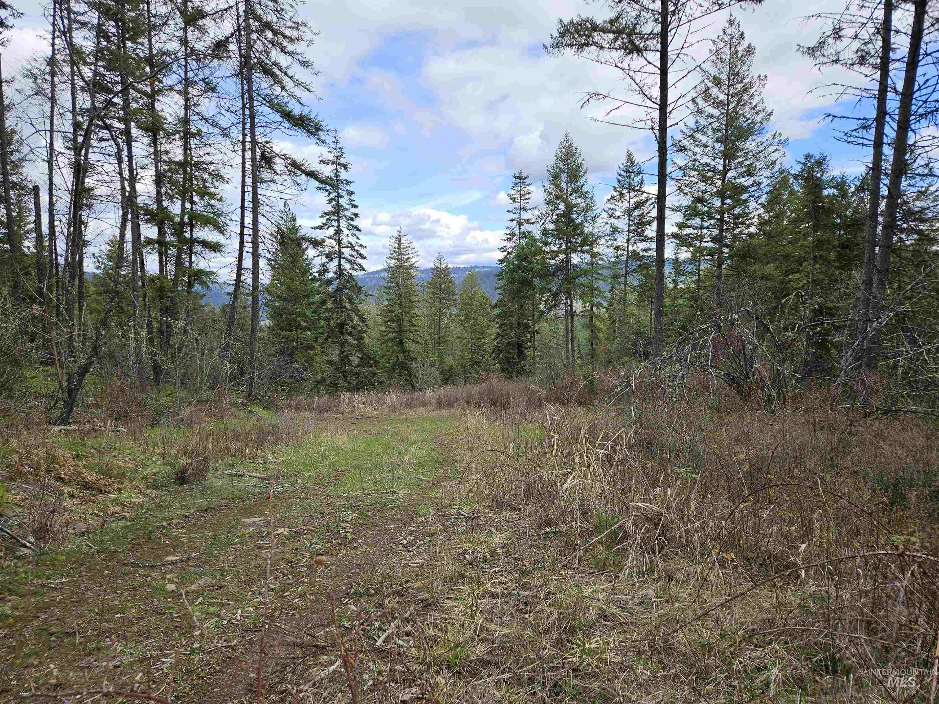Tbd O'brien Property Photo 4