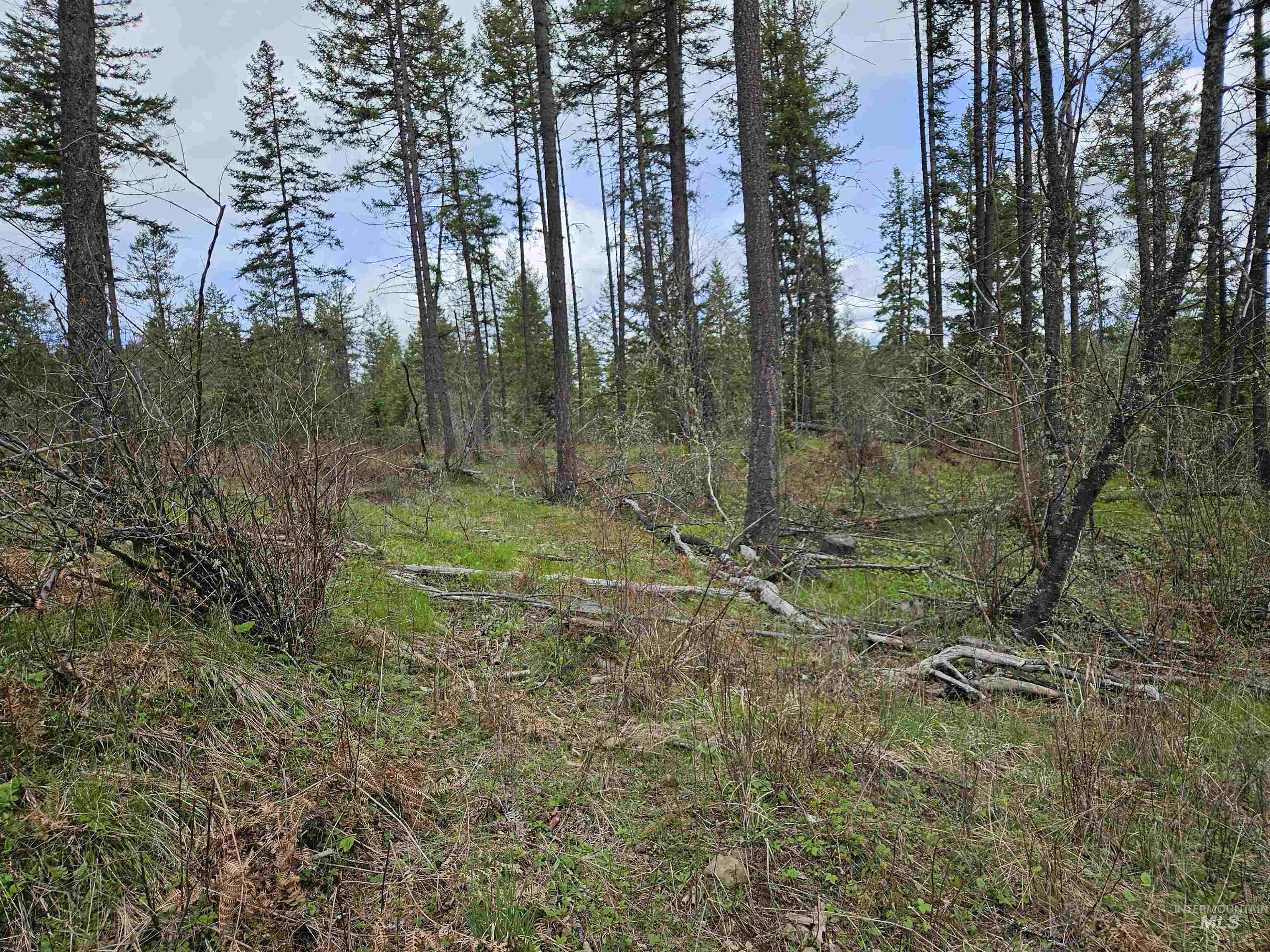 Tbd O'brien Property Photo 5