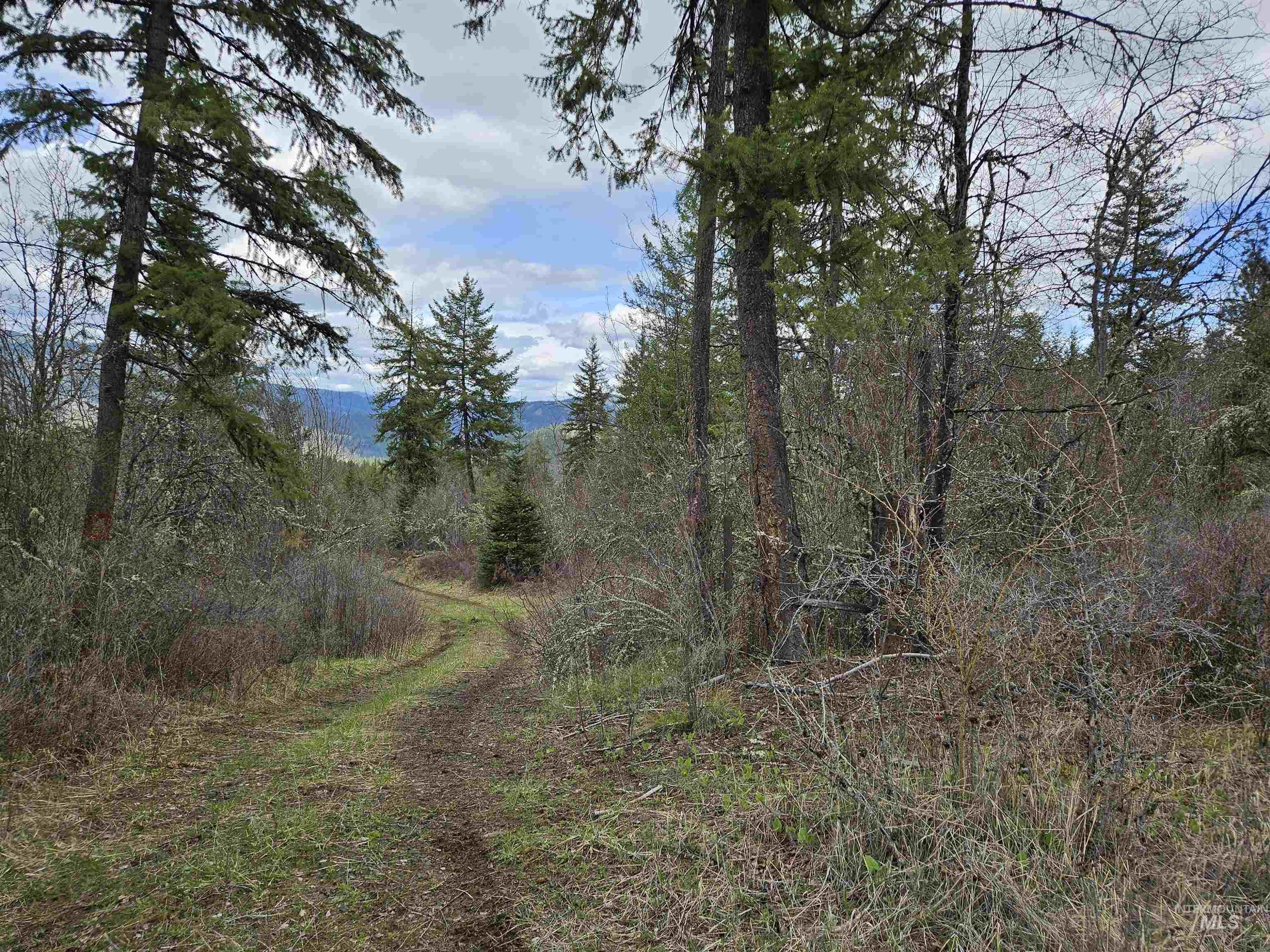 Tbd O'brien Property Photo 6