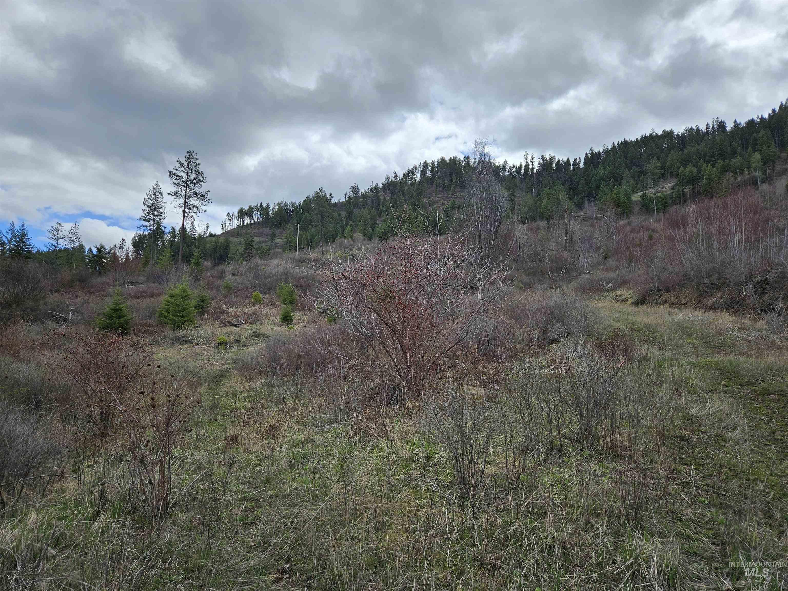 Tbd O'brien Property Photo 7