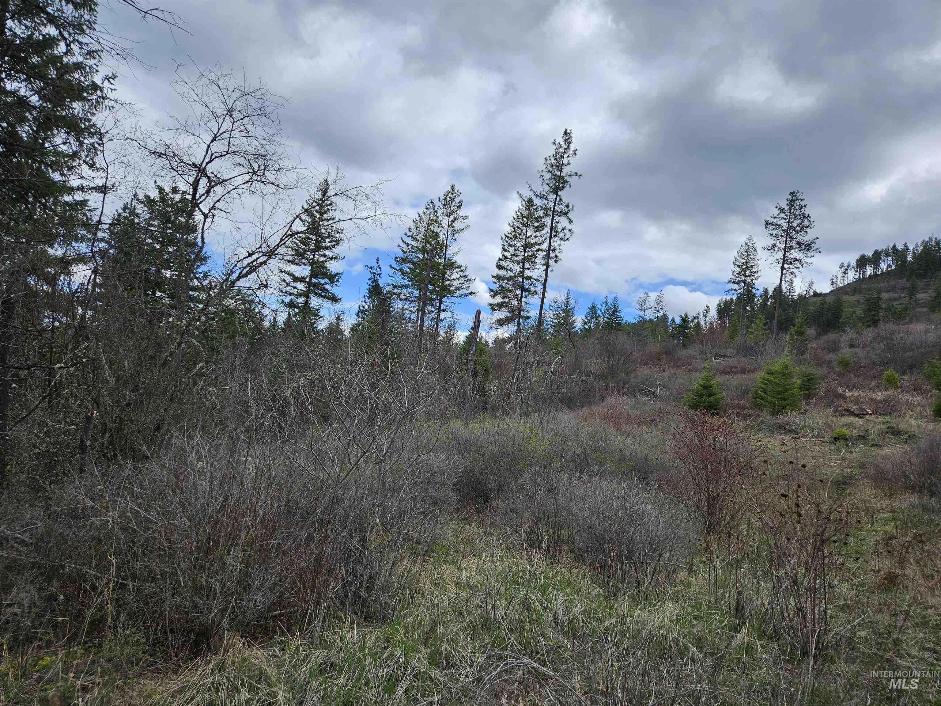 Tbd O'brien Property Photo 8