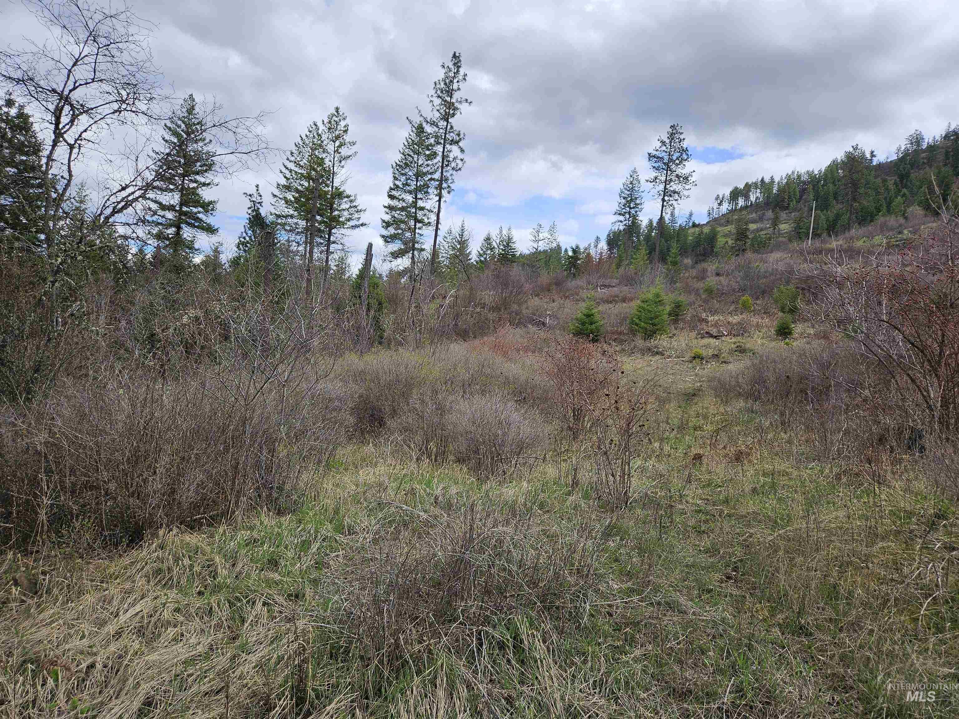 Tbd O'brien Property Photo 9