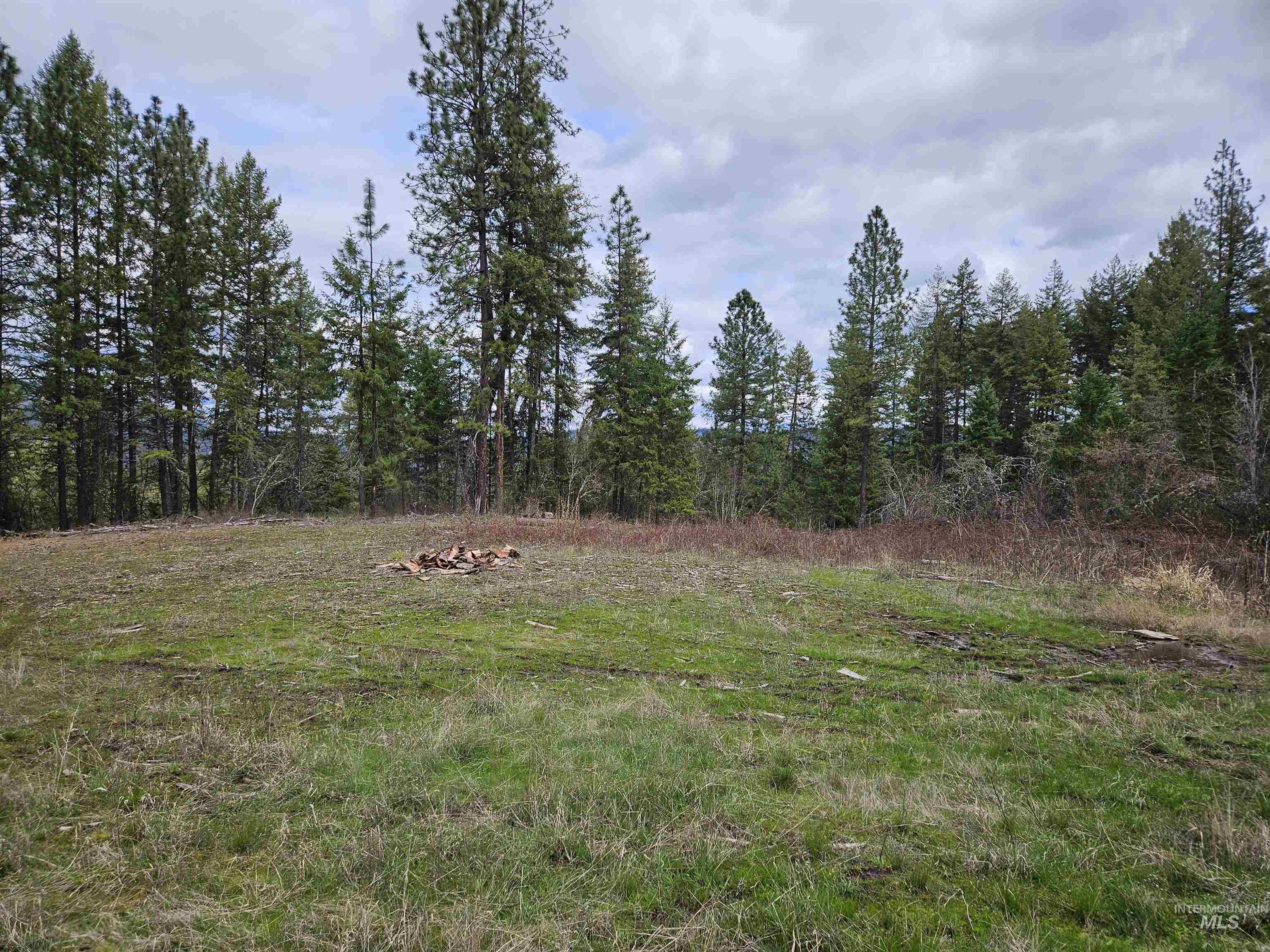 Tbd O'brien Property Photo 10