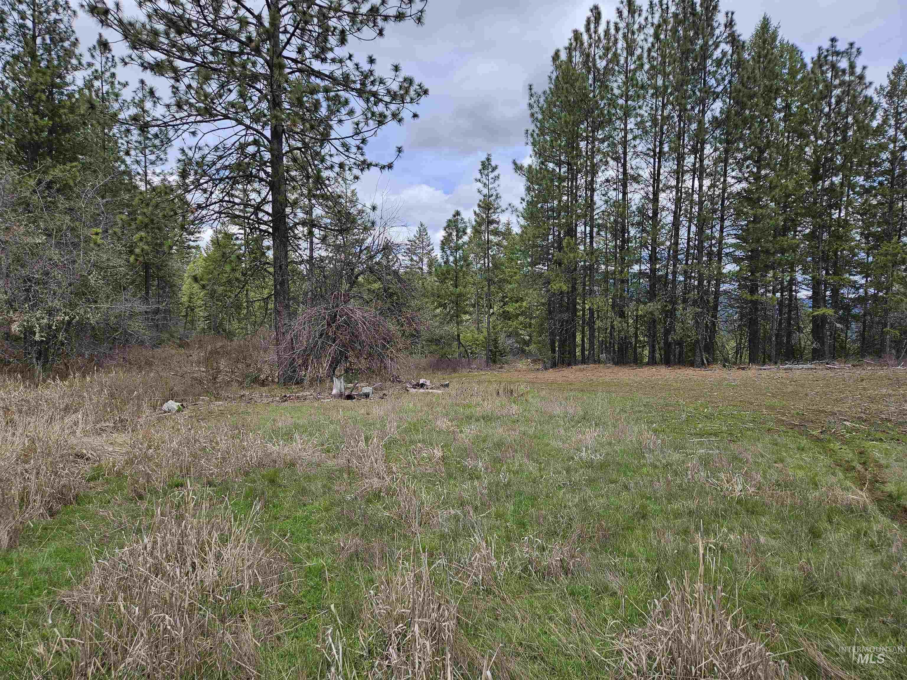 Tbd O'brien Property Photo 11