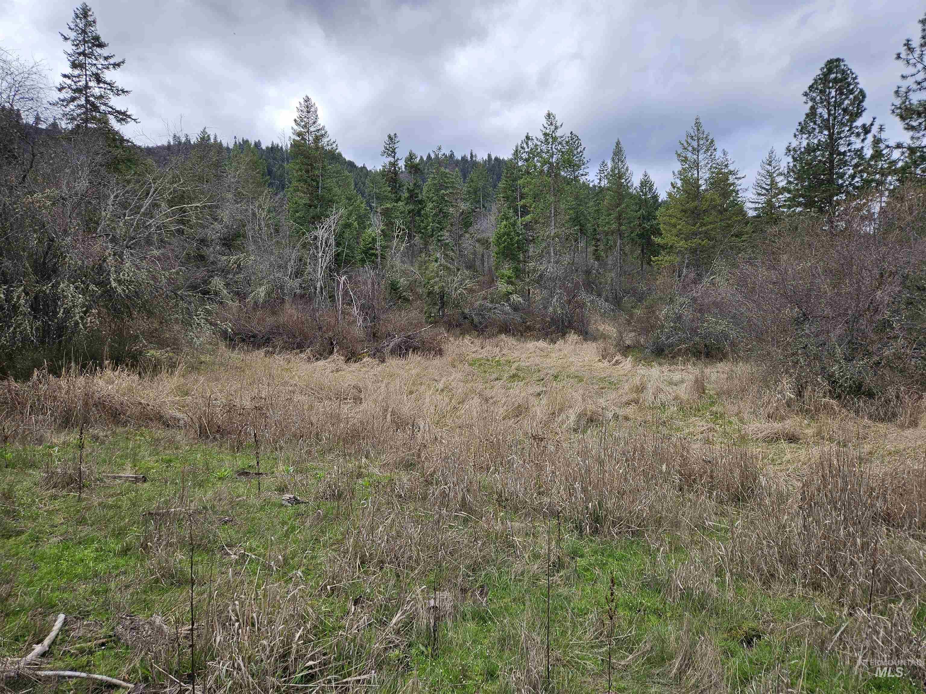 Tbd O'brien Property Photo 12