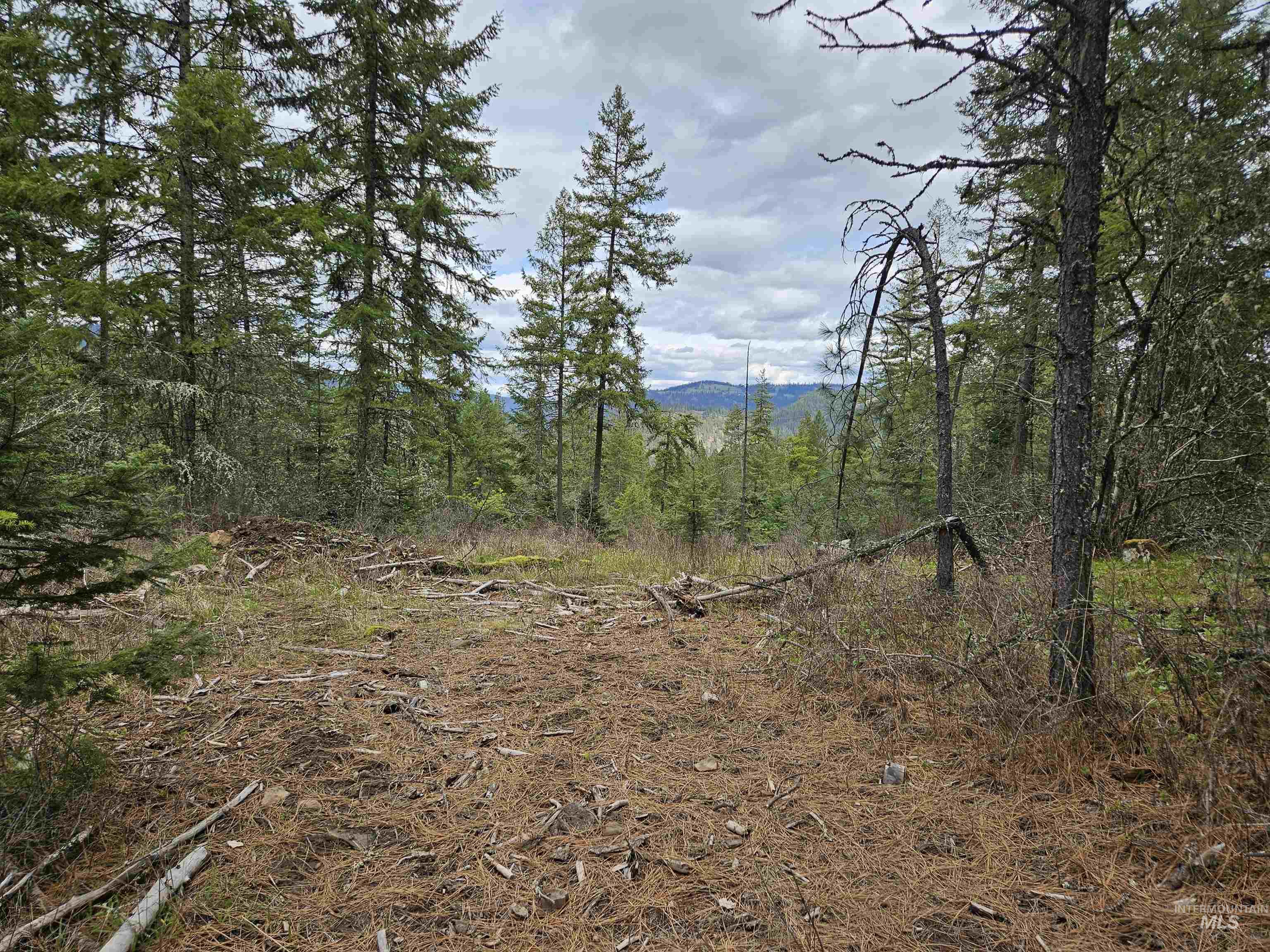 Tbd O'brien Property Photo 13