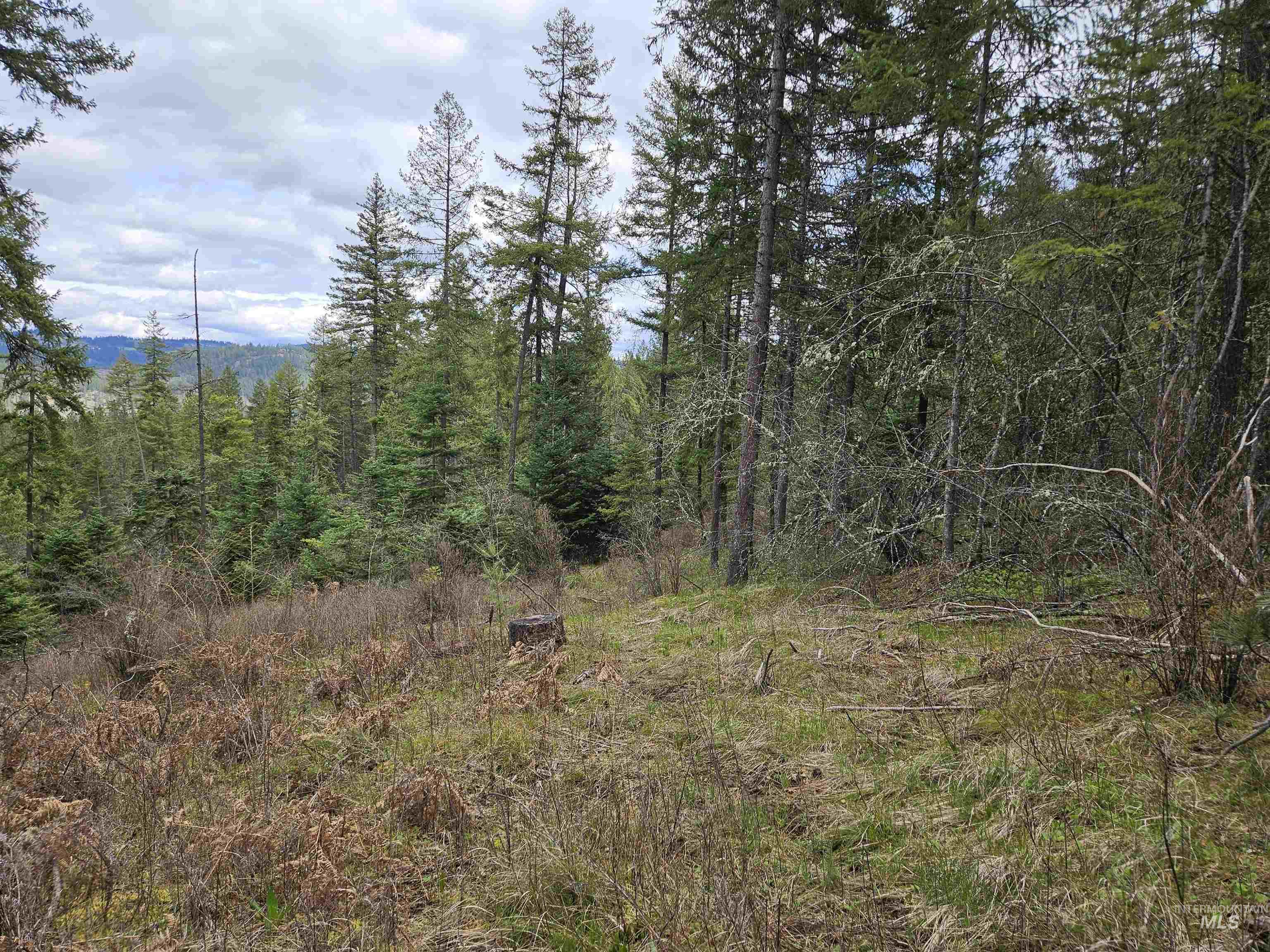 Tbd O'brien Property Photo 14