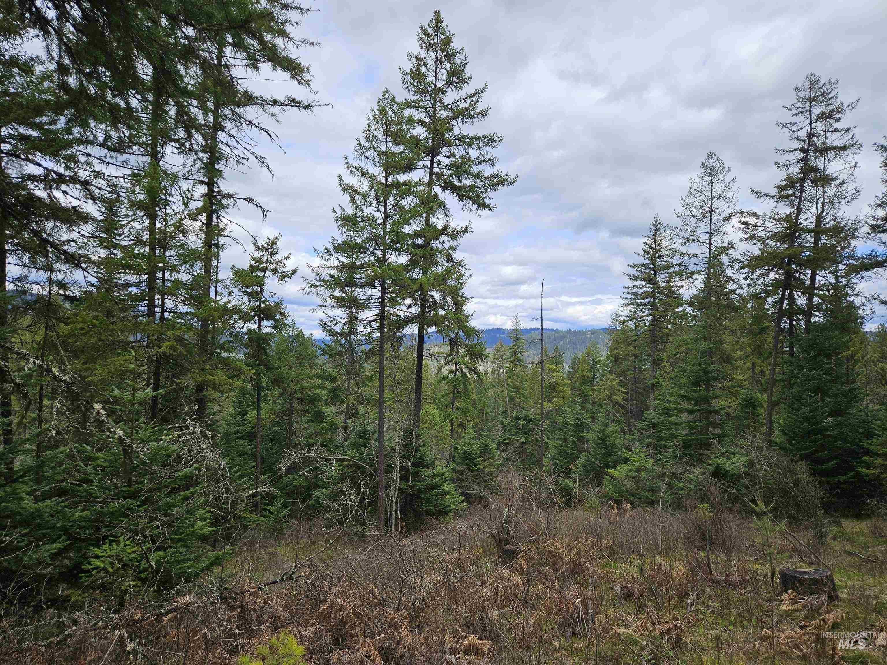 Tbd O'brien Property Photo 15