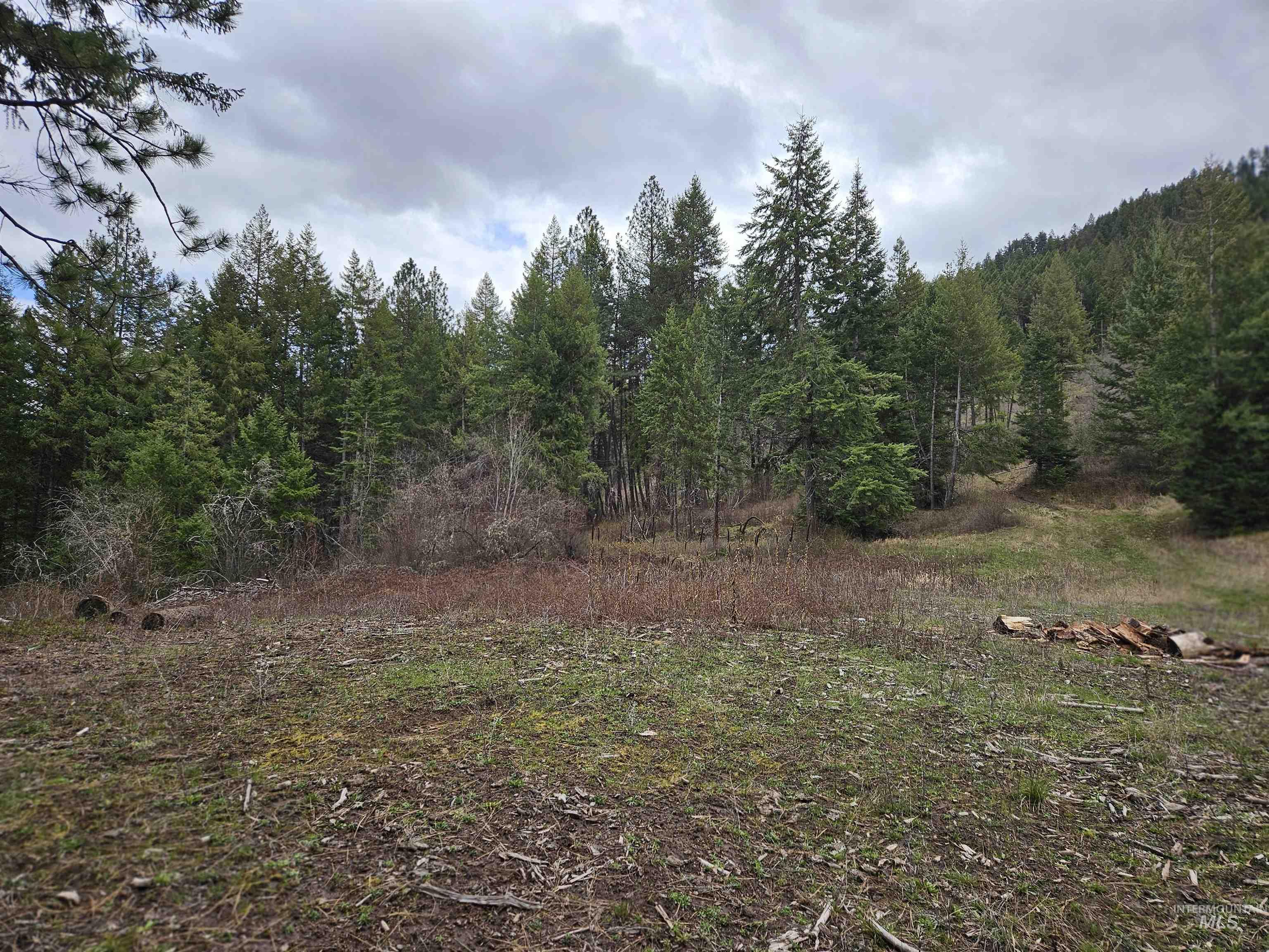 Tbd O'brien Property Photo 16