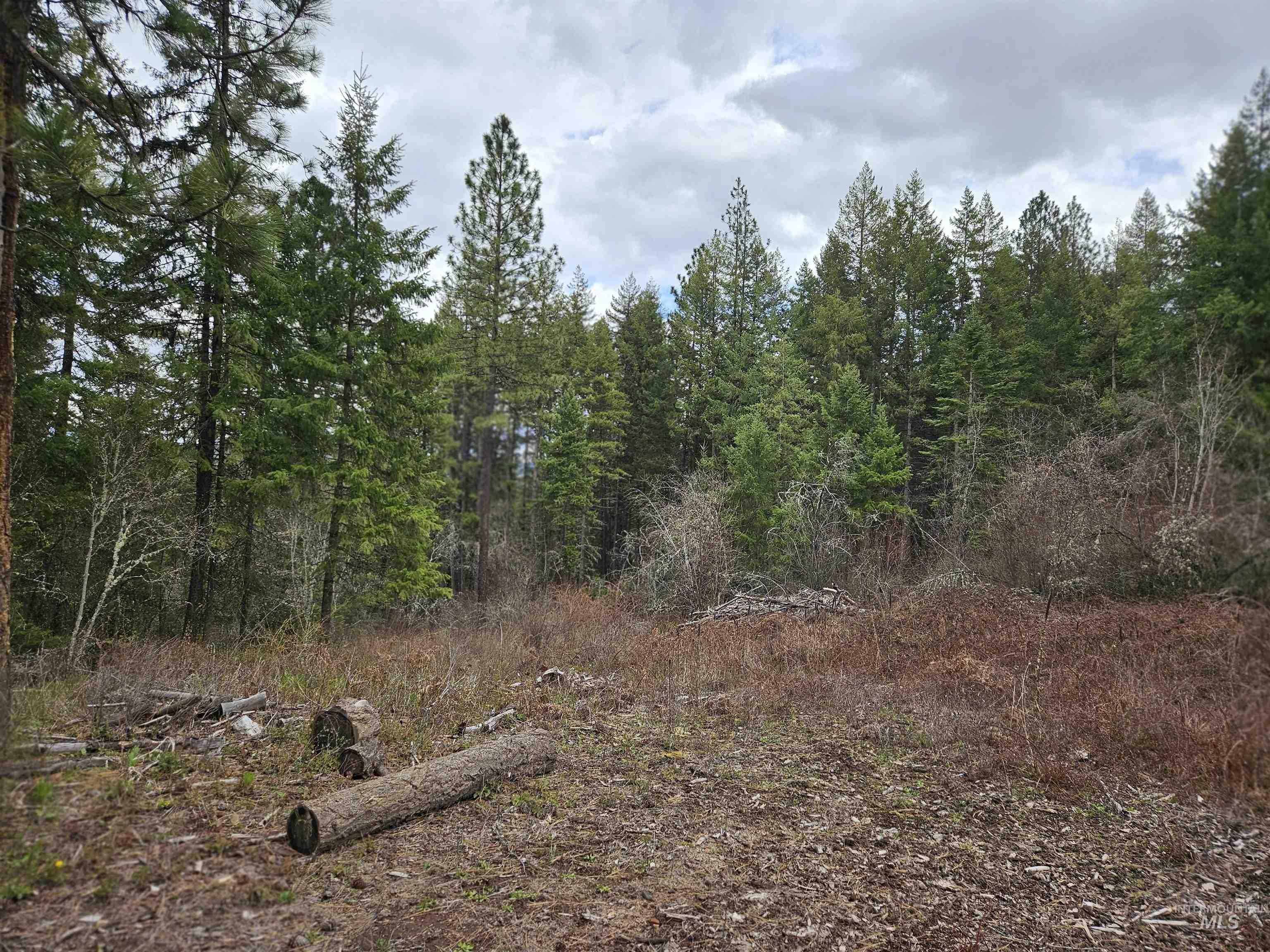 Tbd O'brien Property Photo 17